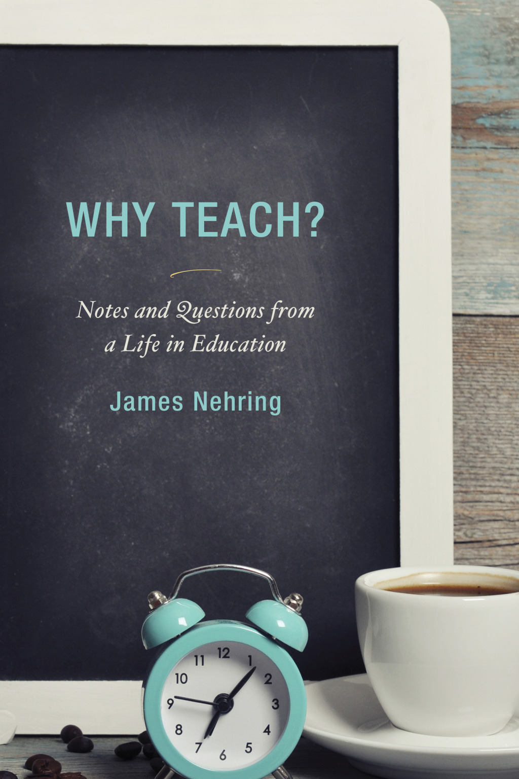 Why Teach? Notes and Questions from a Life in Education 1st Edition â€“ PDF/EPUB Version Downloadable