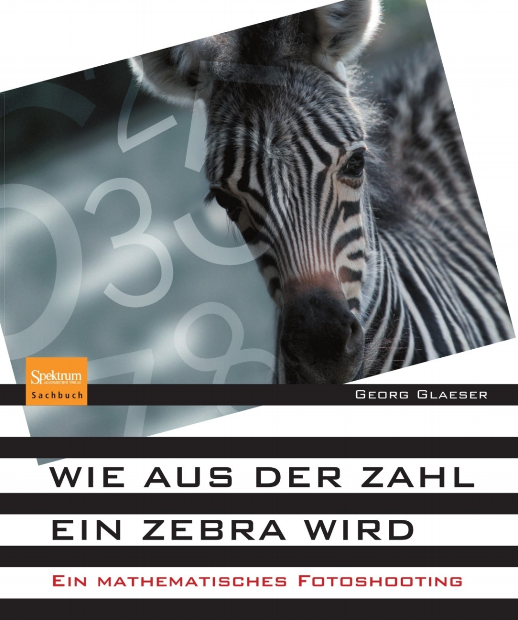 Wie aus der Zahl ein Zebra wird Ein mathematisches Fotoshooting  â€“ PDF/EPUB Version Downloadable
