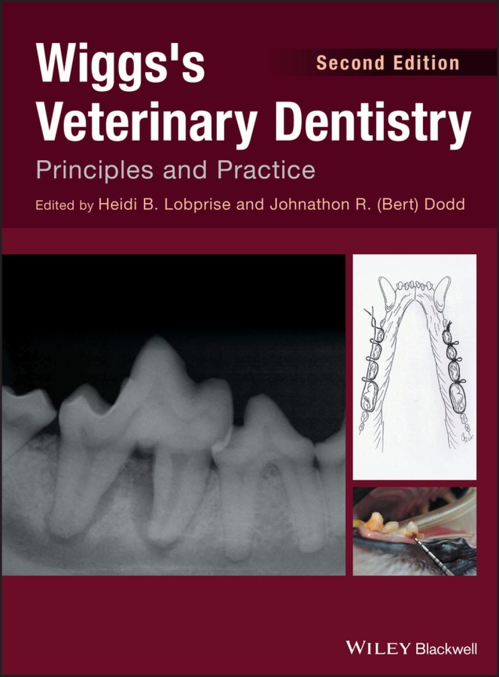 Wiggs's Veterinary Dentistry Principles and Practice 2nd Edition â€“ PDF/EPUB Version Downloadable