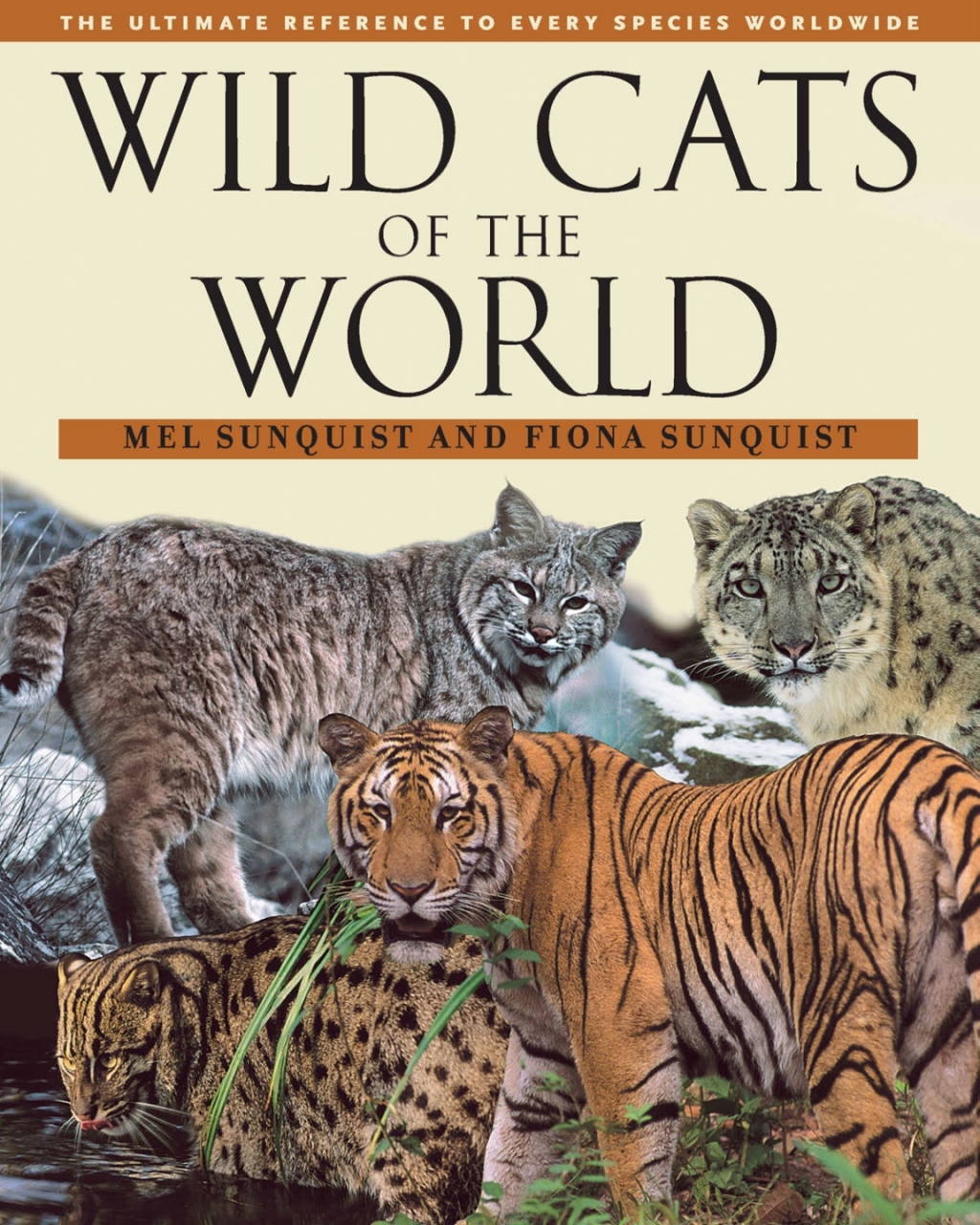 Wild Cats of the World 1st Edition â€“ PDF/EPUB Version Downloadable