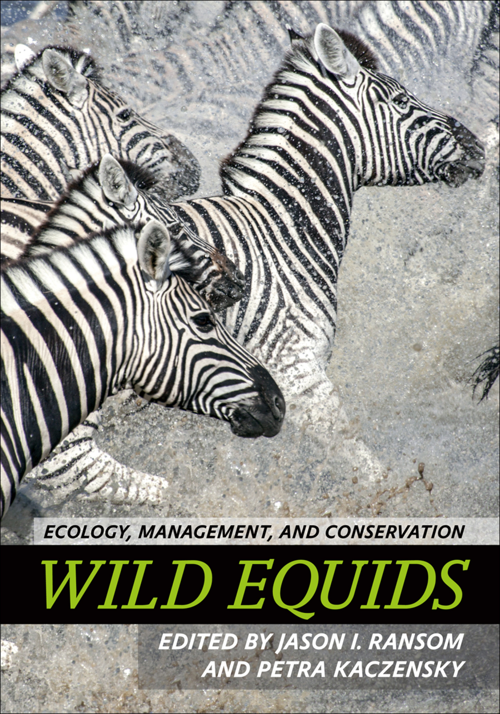 Wild Equids Ecology, Management, and Conservation  â€“ PDF/EPUB Version Downloadable