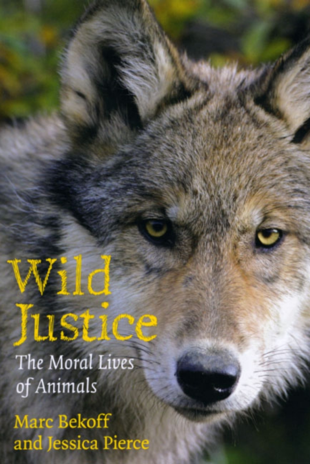 Wild Justice The Moral Lives of Animals 1st Edition - (PDF/EPUB Version)