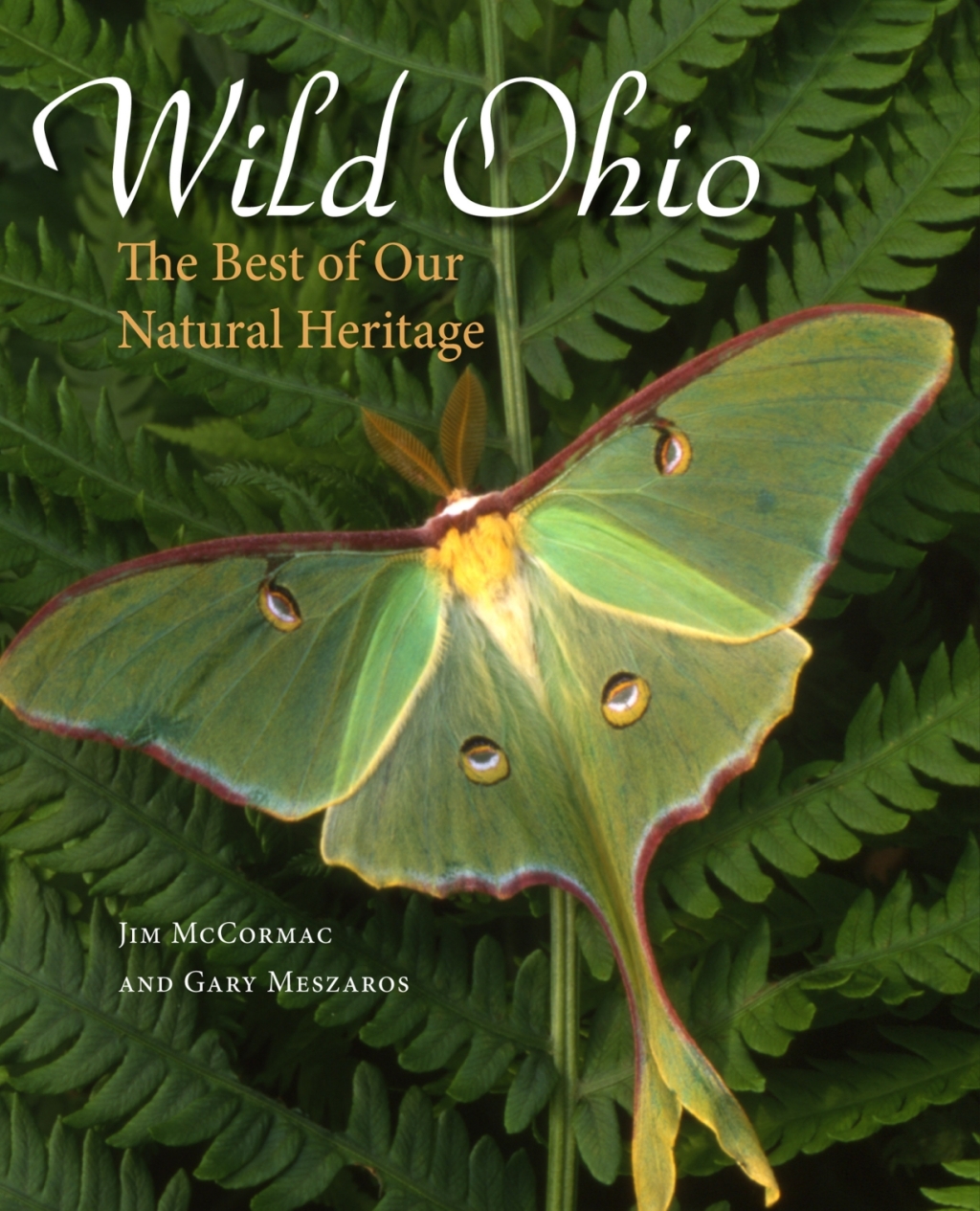 Wild Ohio The Best of Our Natural Heritage – PDF/EPUB Version Downloadable Wild Ohio The Best of Our Natural Heritage – PDF/EPUB Version Downloadable - Image 1