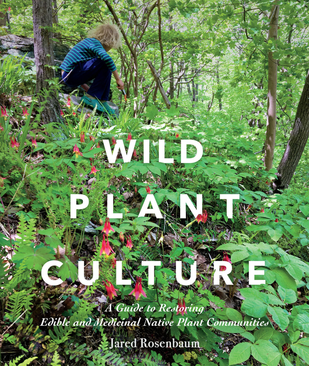 Wild Plant Culture A Guide to Restoring Edible and Medicinal Native Plant Communities – PDF/EPUB Version Downloadable Wild Plant Culture A Guide to Restoring Edible and Medicinal Native Plant Communities – PDF/EPUB Version Downloadable - Image 1