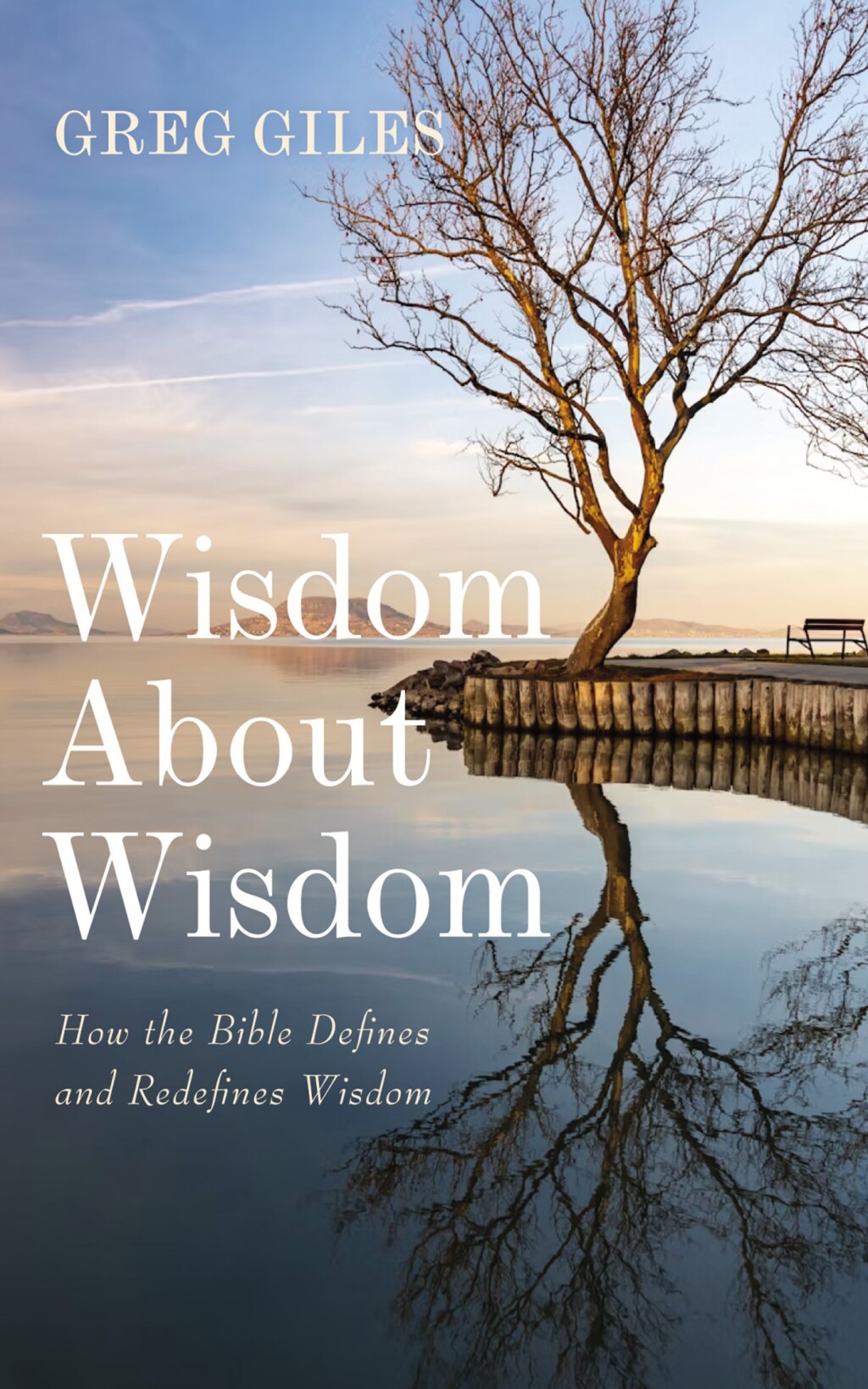 Wisdom About Wisdom How the Bible Defines and Redefines Wisdom  â€“ PDF/EPUB Version Downloadable