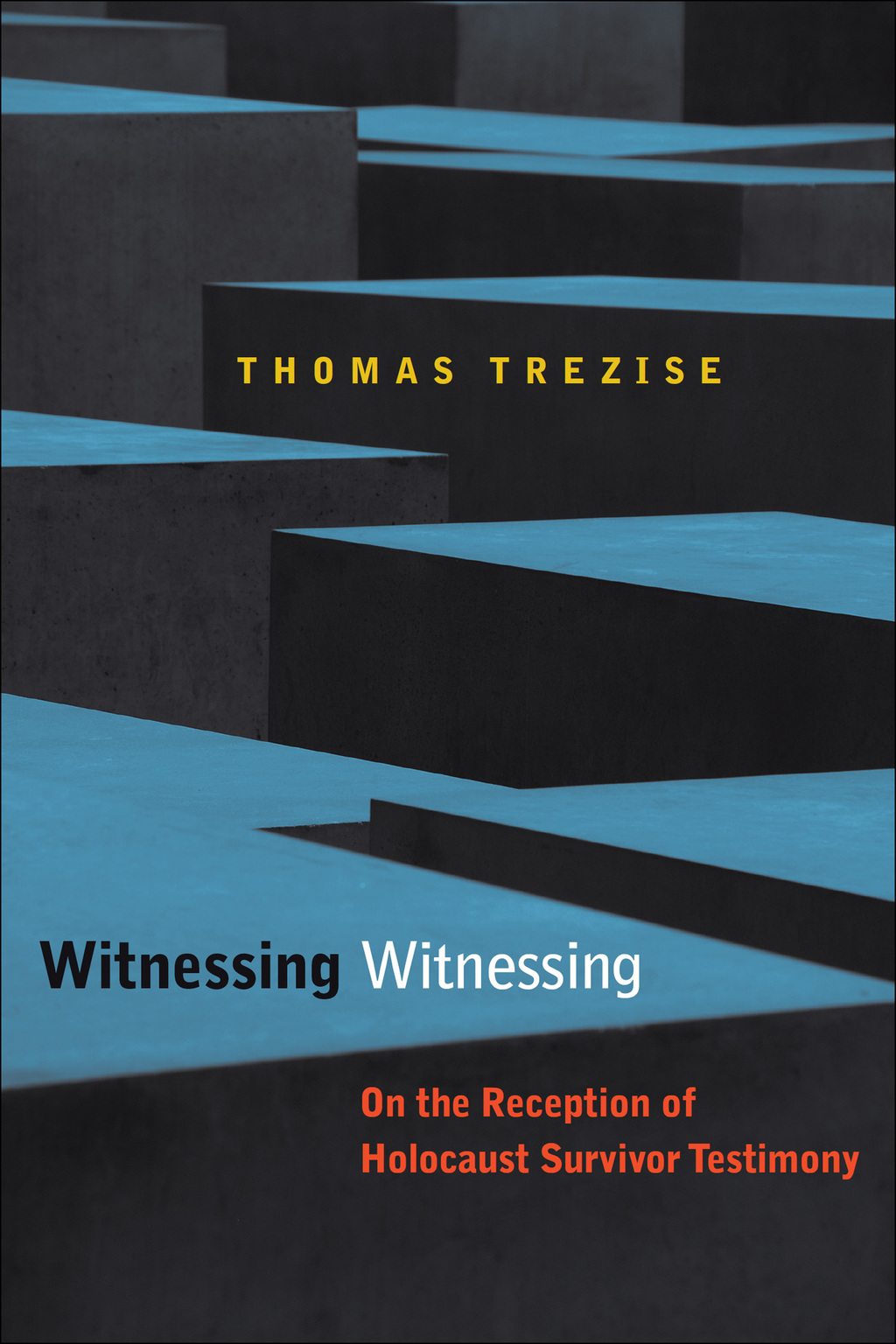 Witnessing Witnessing On the Reception of Holocaust Survivor Testimony - (PDF/EPUB Version)