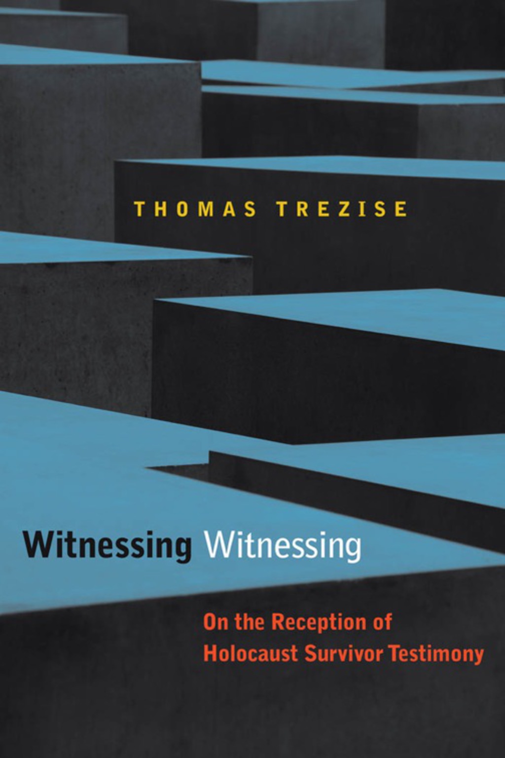 Witnessing Witnessing On the Reception of Holocaust Survivor Testimony - (PDF/EPUB Version)