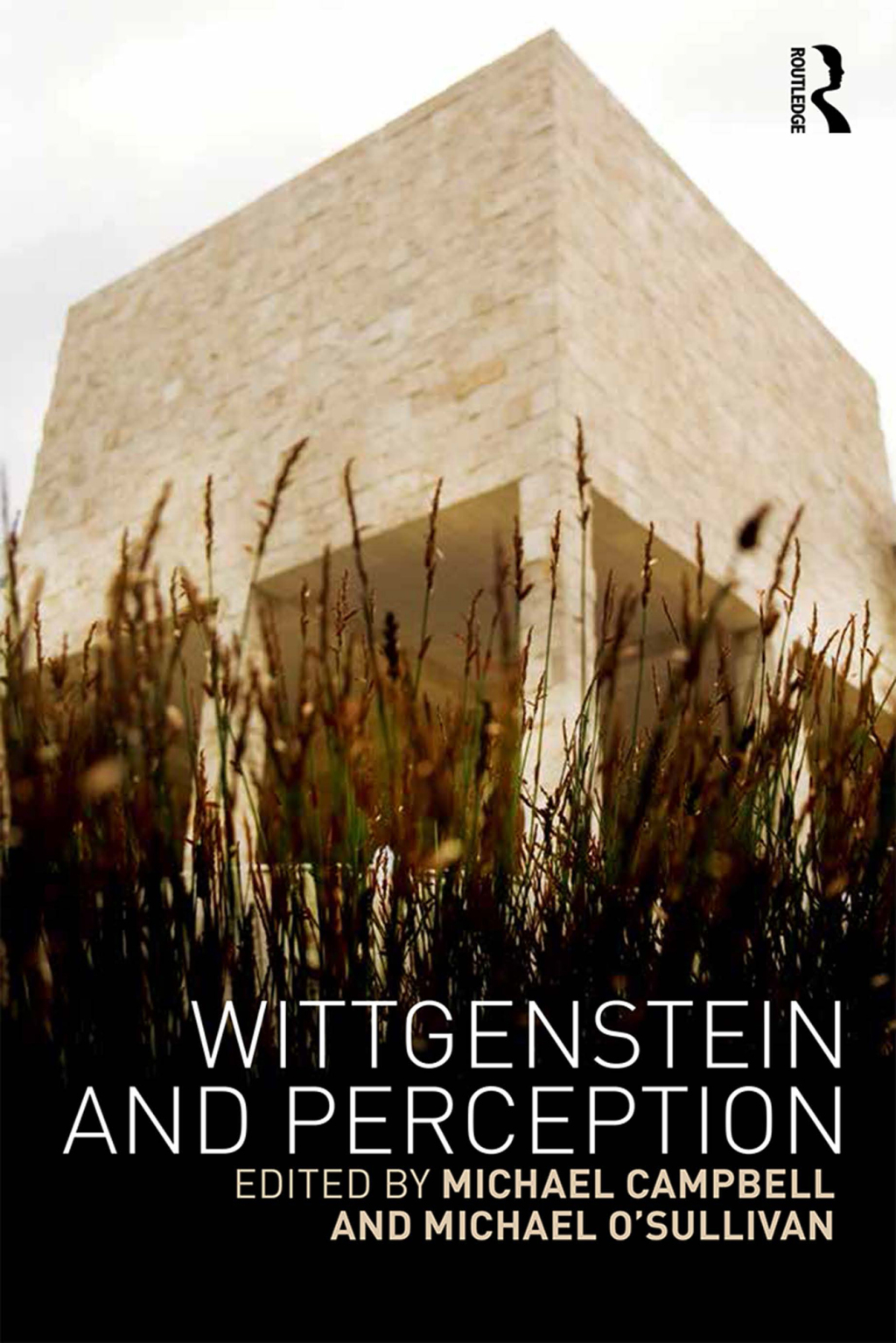 Wittgenstein and Perception 1st Edition â€“ PDF/EPUB Version Downloadable
