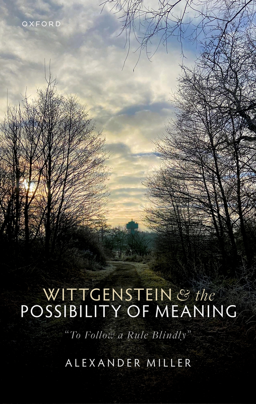 Wittgenstein and the Possibility of Meaning "To Follow a Rule Blindly" 1st Edition â€“ PDF/EPUB Version Downloadable