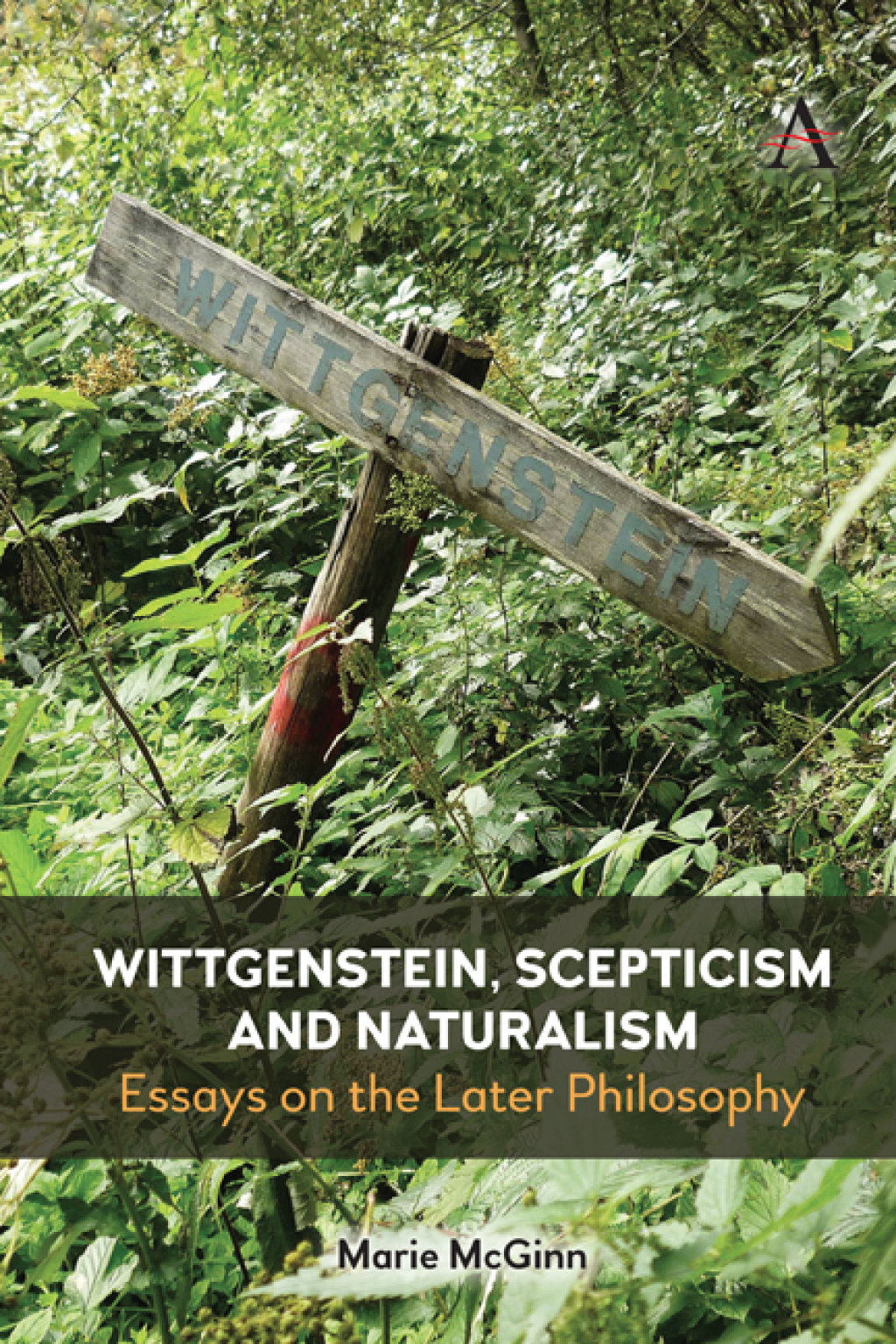 Wittgenstein, Scepticism and Naturalism Essays on the Later Philosophy 1st Edition â€“ PDF/EPUB Version Downloadable
