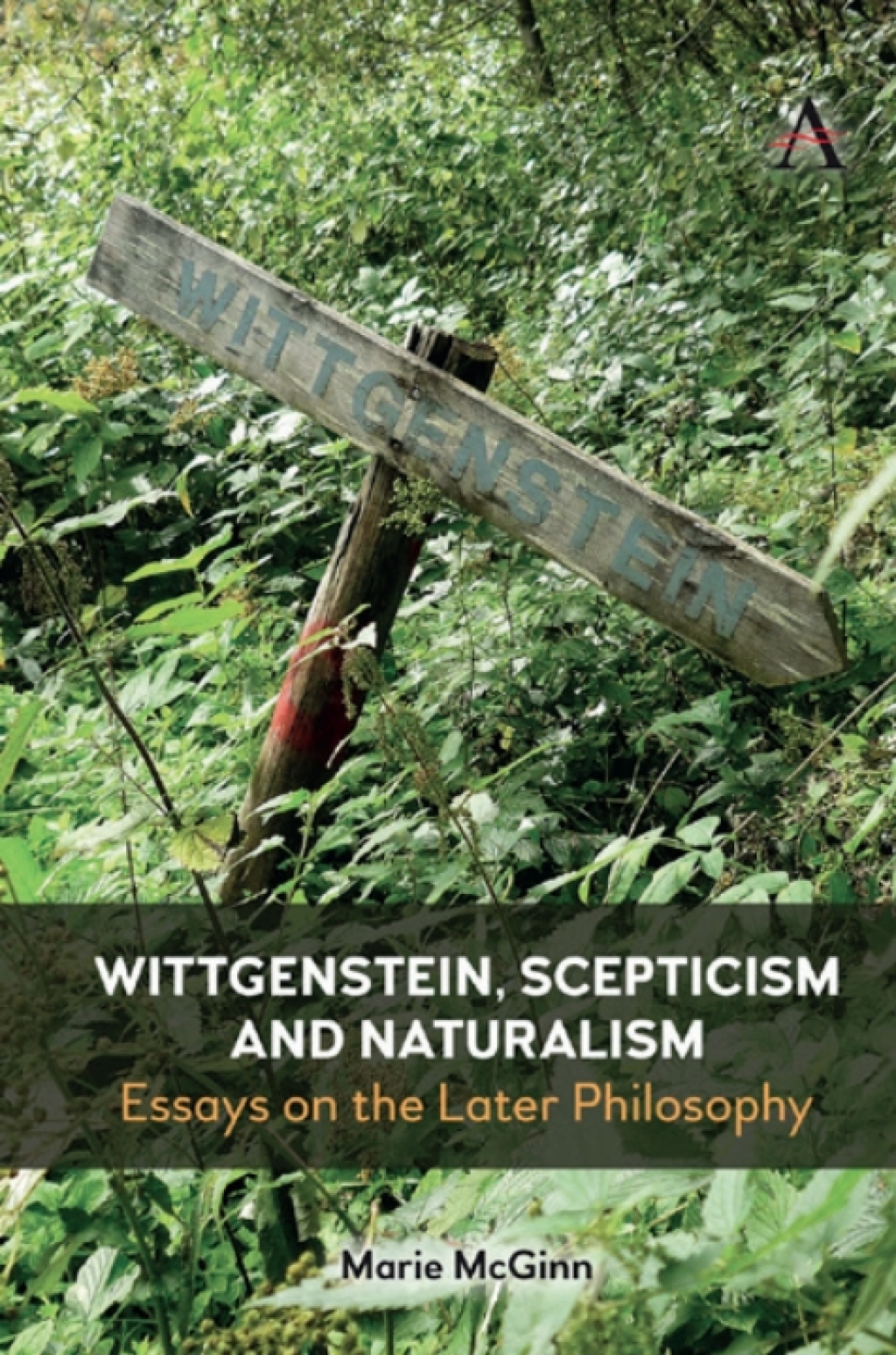 Wittgenstein, Scepticism and Naturalism Essays on the Later Philosophy 1st Edition â€“ PDF/EPUB Version Downloadable