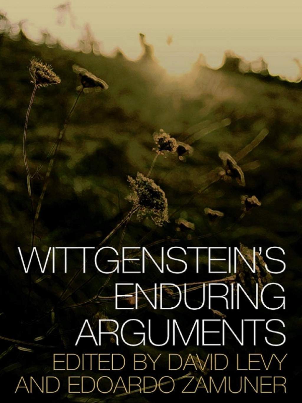 Wittgenstein's Enduring Arguments 1st Edition â€“ PDF/EPUB Version Downloadable