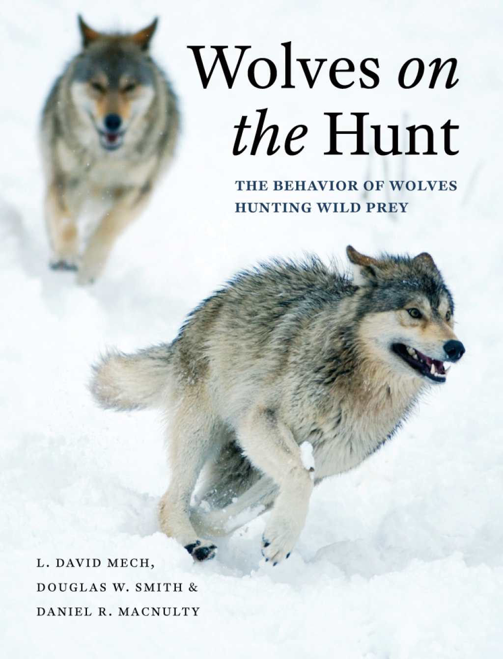 Wolves on the Hunt The Behavior of Wolves Hunting Wild Prey 1st Edition â€“ PDF/EPUB Version Downloadable