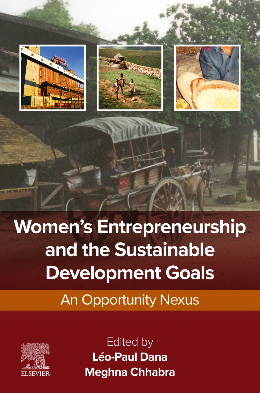 Womenâ€™s Entrepreneurship and the Sustainable Development Goals An ...