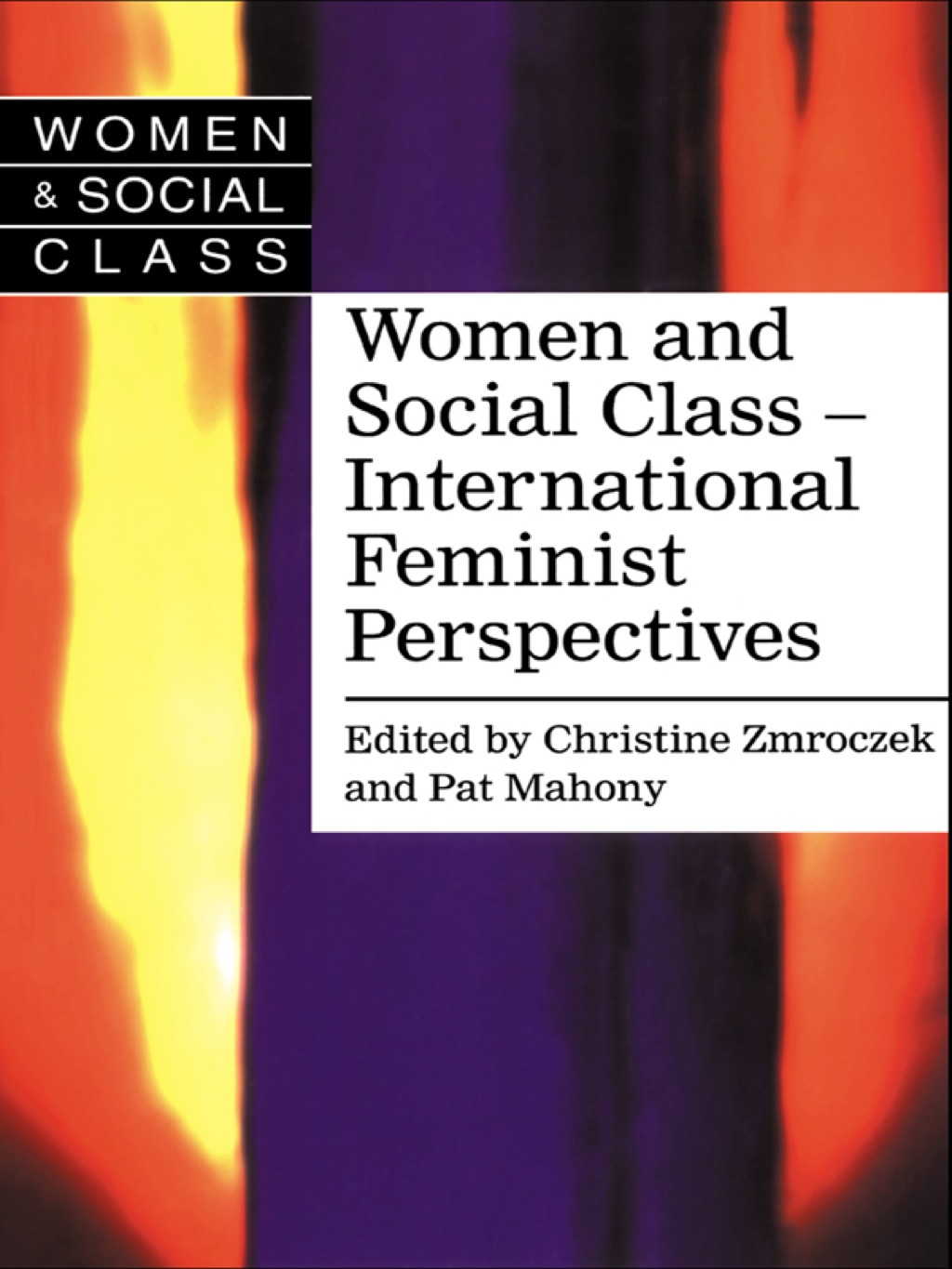 Women and Social Class International Feminist Perspectives 1st Edition â€“ PDF/EPUB Version Downloadable