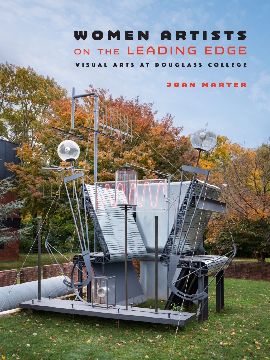 Women Artists on the Leading Edge Visual Arts at Douglass College  â€“ PDF/EPUB Version Downloadable