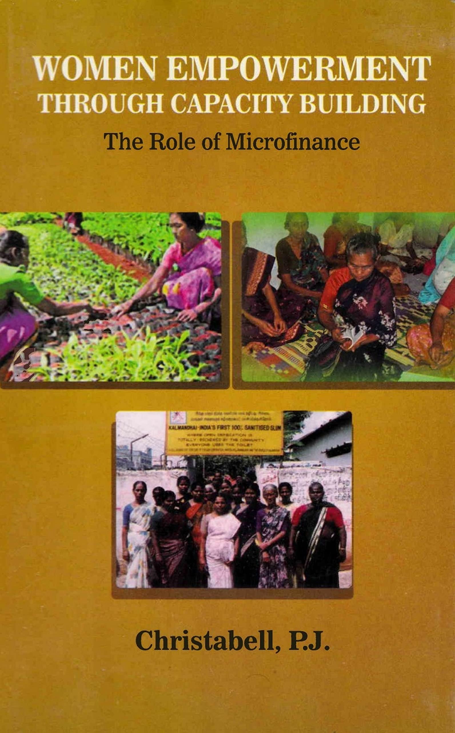 Women Empowerment through Capacity Building: The Role of Microfinance ...