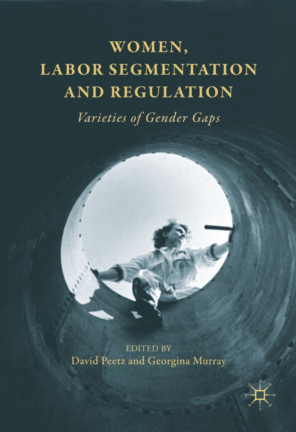 Women, Labor Segmentation and Regulation Varieties of Gender Gaps  â€“ PDF/EPUB Version Downloadable