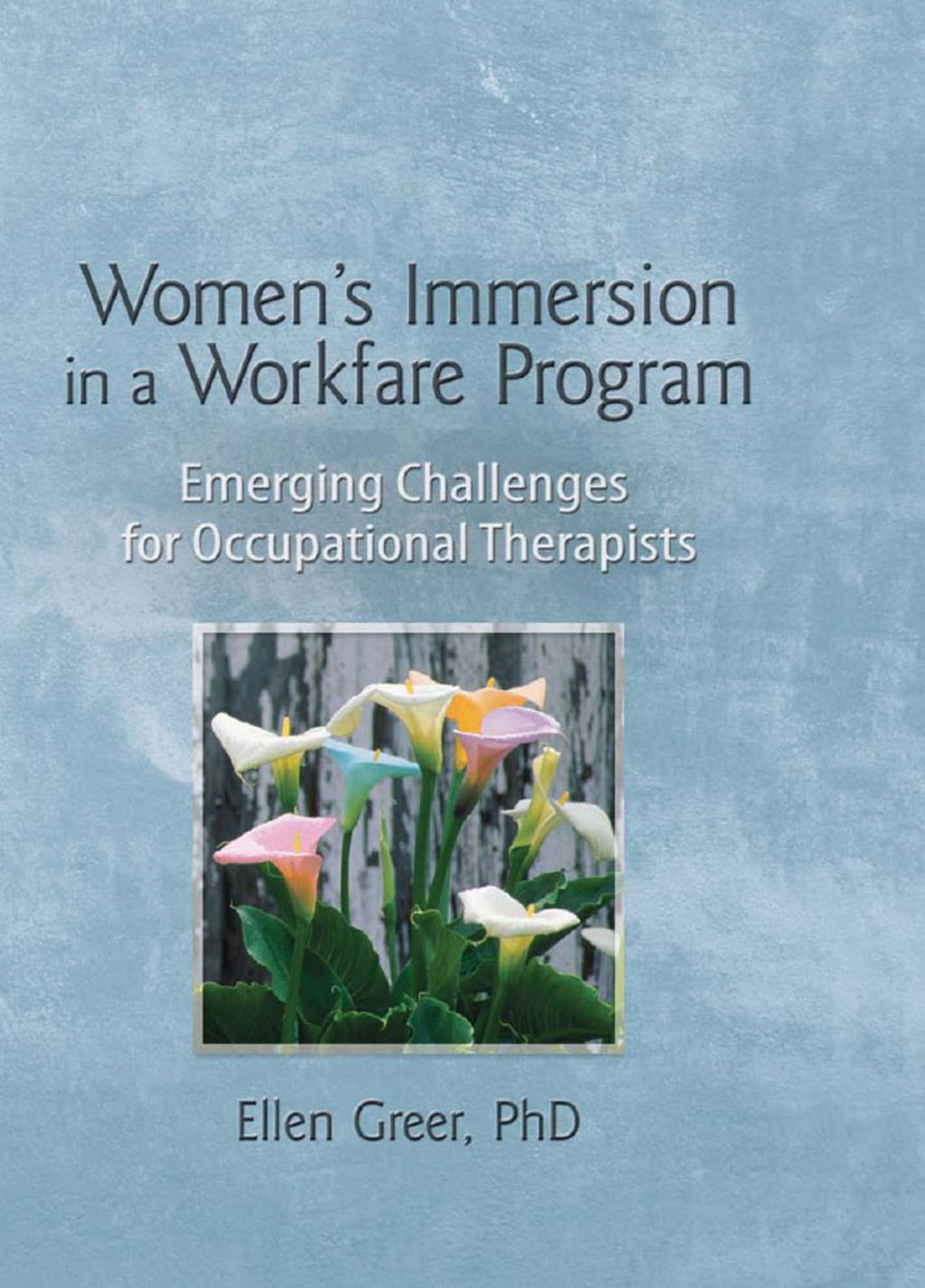Women's Immersion in a Workfare Program Emerging Challenges for Occupational Therapists 1st Edition â€“ PDF/EPUB Version Downloadable