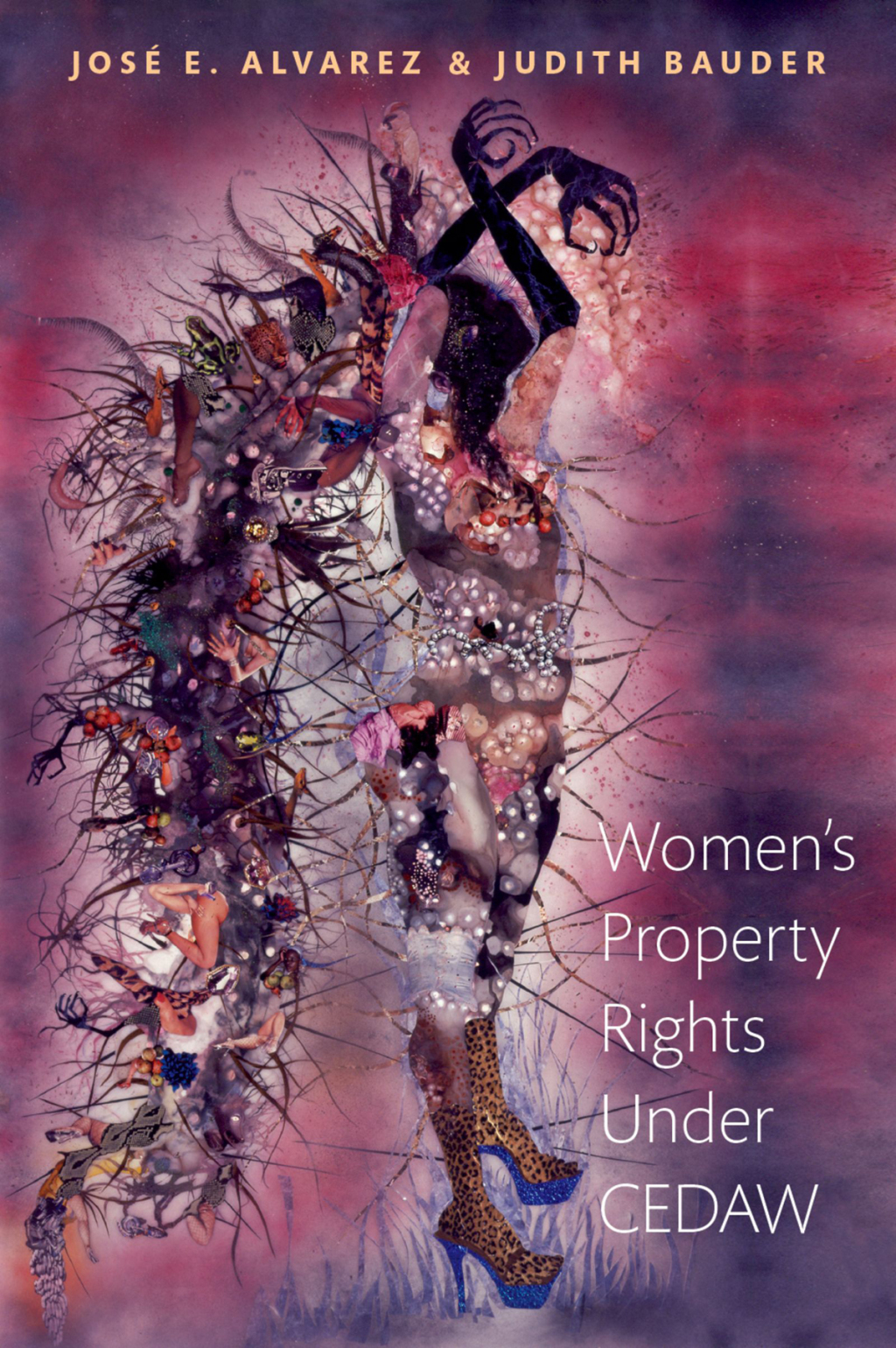 Women's Property Rights Under CEDAW 1st Edition â€“ PDF/EPUB Version Downloadable