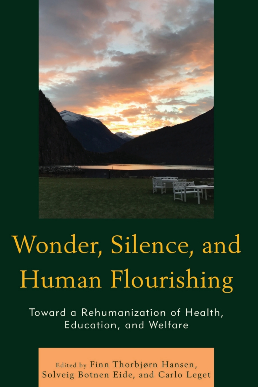 Wonder, Silence, and Human Flourishing Toward a Rehumanization of Health, Education, and Welfare 1st Edition â€“ PDF/EPUB Version Downloadable