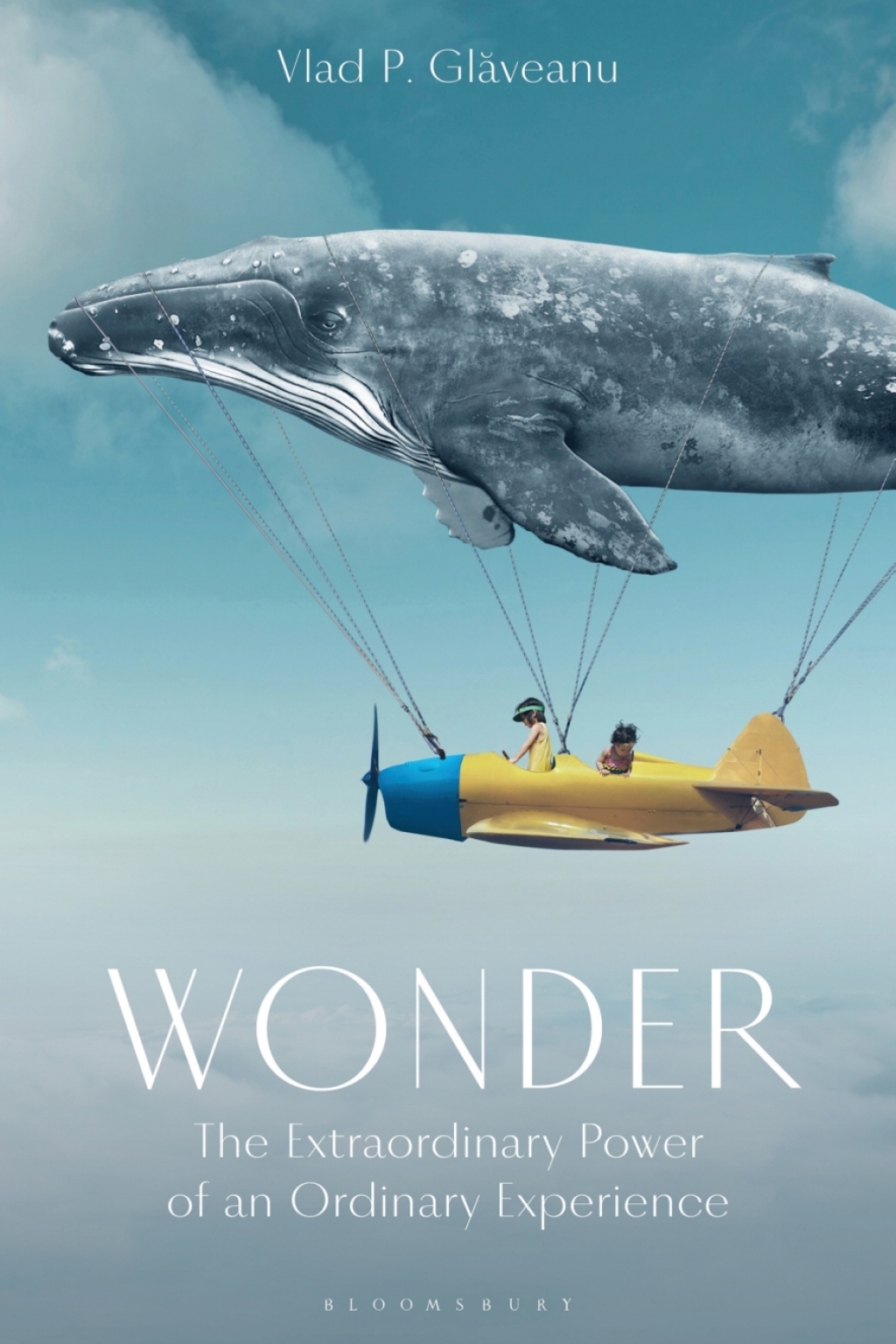 Wonder The Extraordinary Power of an Ordinary Experience 1st Edition â€“ PDF/EPUB Version Downloadable