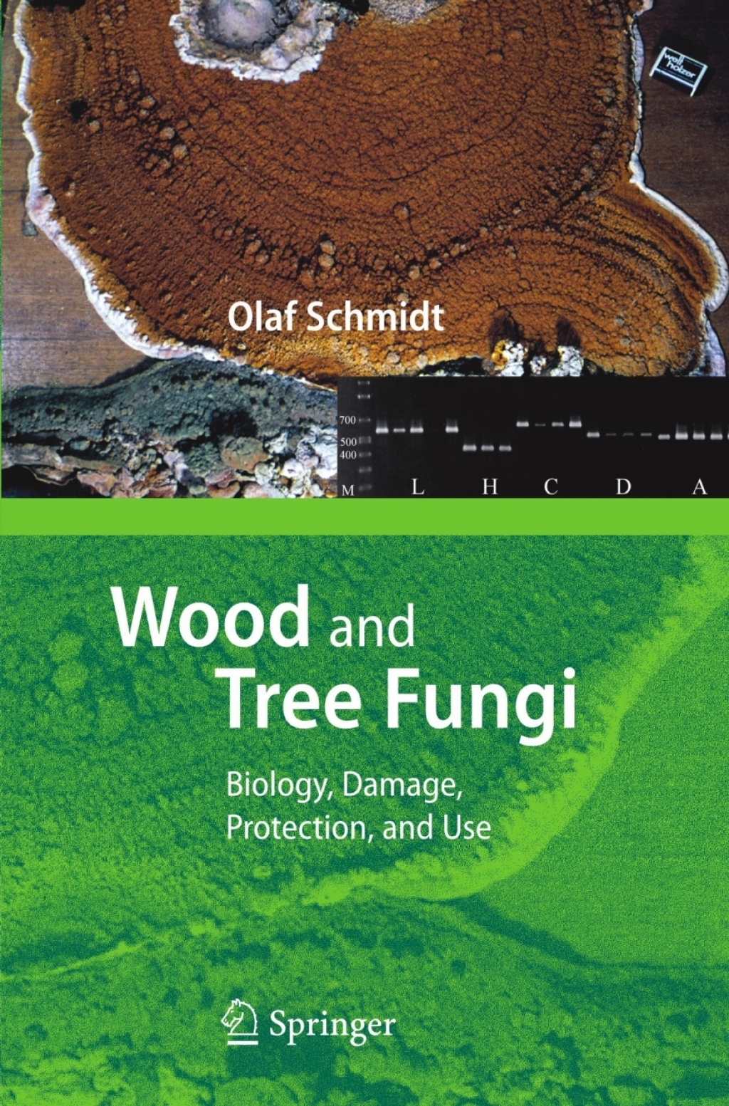Wood and Tree Fungi Biology, Damage, Protection, and Use  â€“ PDF/EPUB Version Downloadable