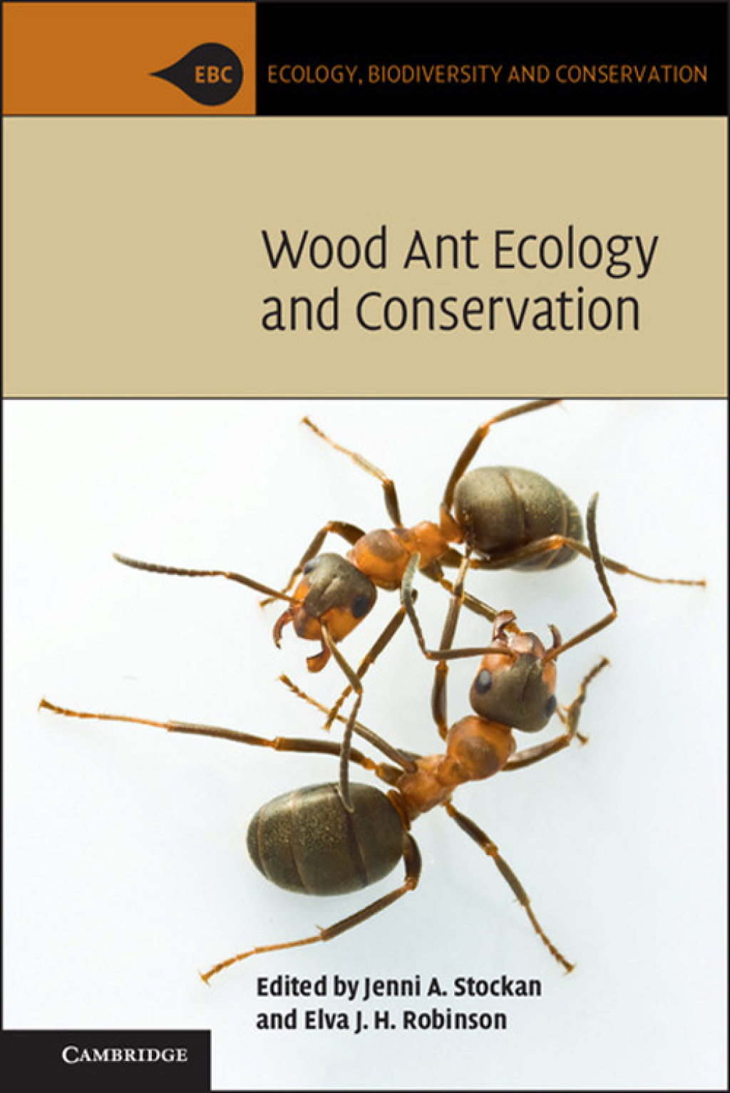 Wood Ant Ecology and Conservation  â€“ PDF/EPUB Version Downloadable