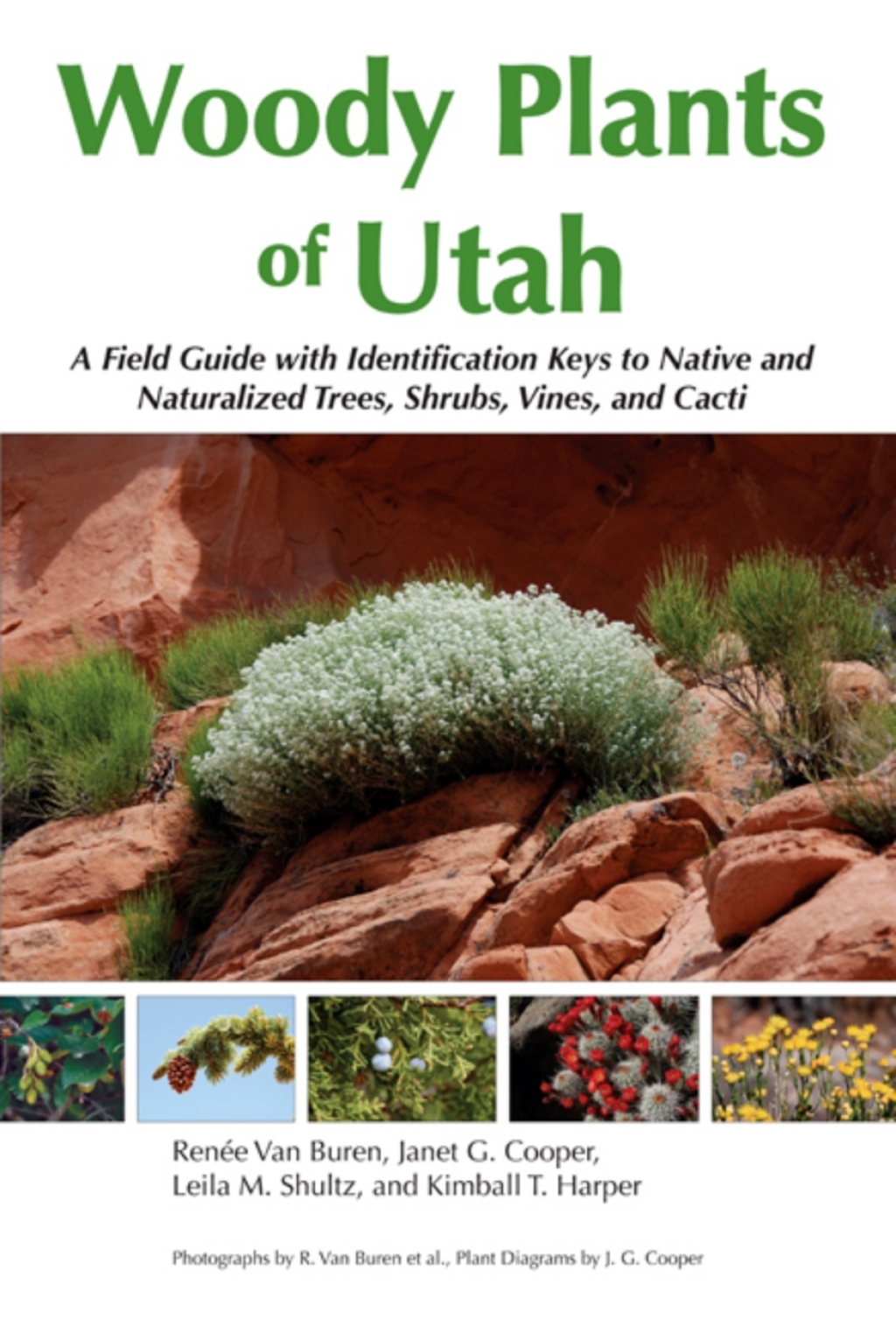 Woody Plants of Utah A Field Guide with Identification Keys to Native and Naturalized Trees, Shrubs, Cacti, and Vines  â€“ PDF/EPUB Version Downloadable