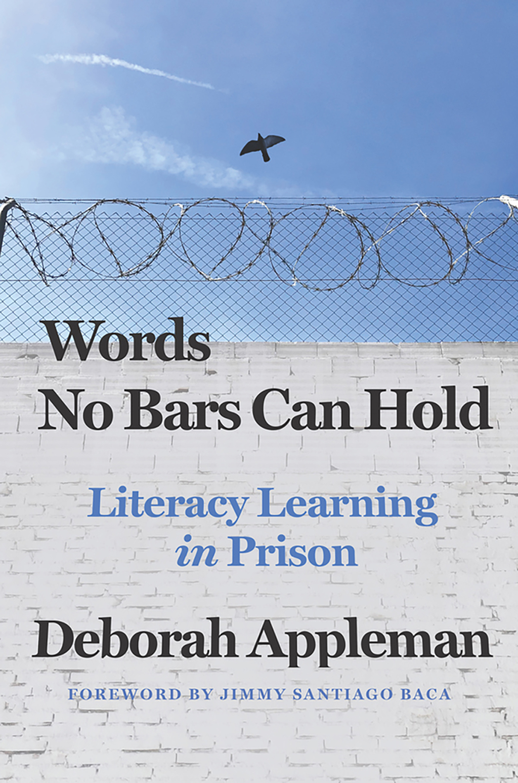 Words No Bars Can Hold: Literacy Learning in Prison - (PDF/EPUB Version)