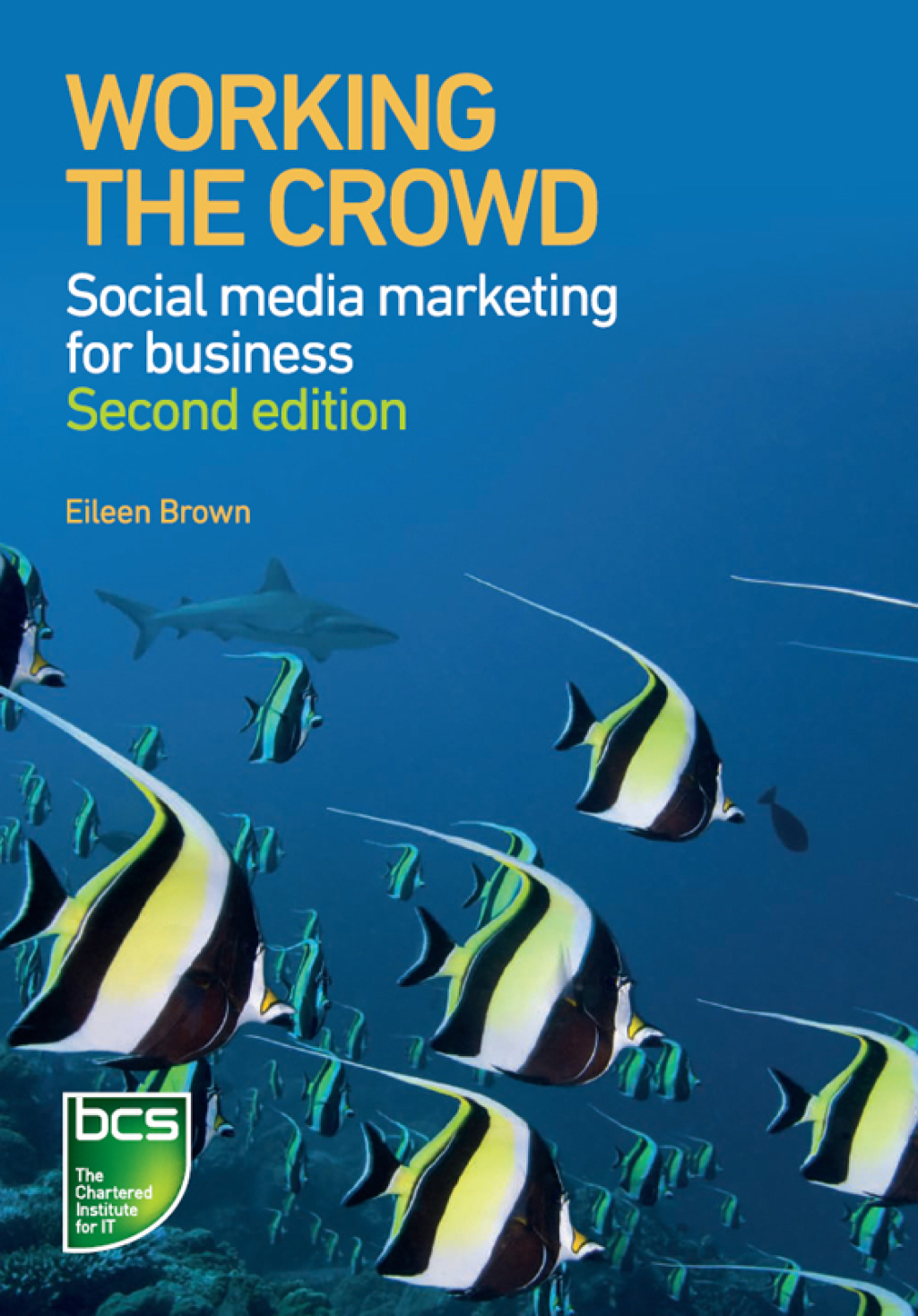 Working the Crowd Social media marketing for business 2nd Edition - (PDF/EPUB Version)