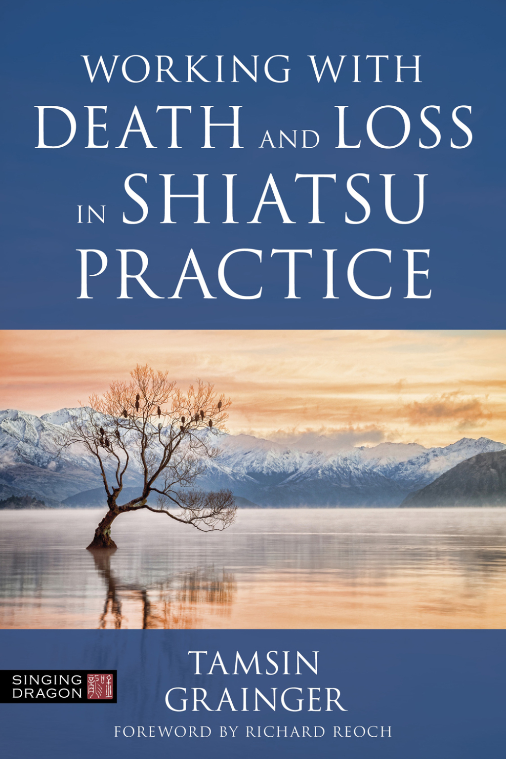 Working with Death and Loss in Shiatsu Practice A Guide to Holistic Bodywork in Palliative Care  â€“ PDF/EPUB Version Downloadable