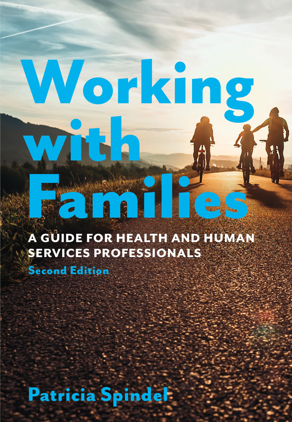 Working with Families A Guide for Health and Human Services Professionals 2nd Edition â€“ PDF/EPUB Version Downloadable
