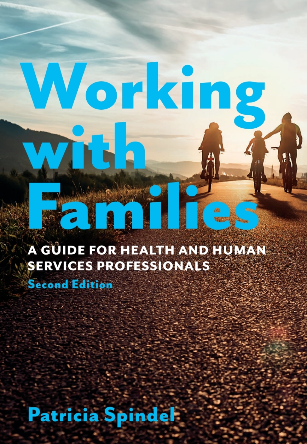 Working with Families A Guide for Health and Human Services Professionals 2nd Edition â€“ PDF/EPUB Version Downloadable