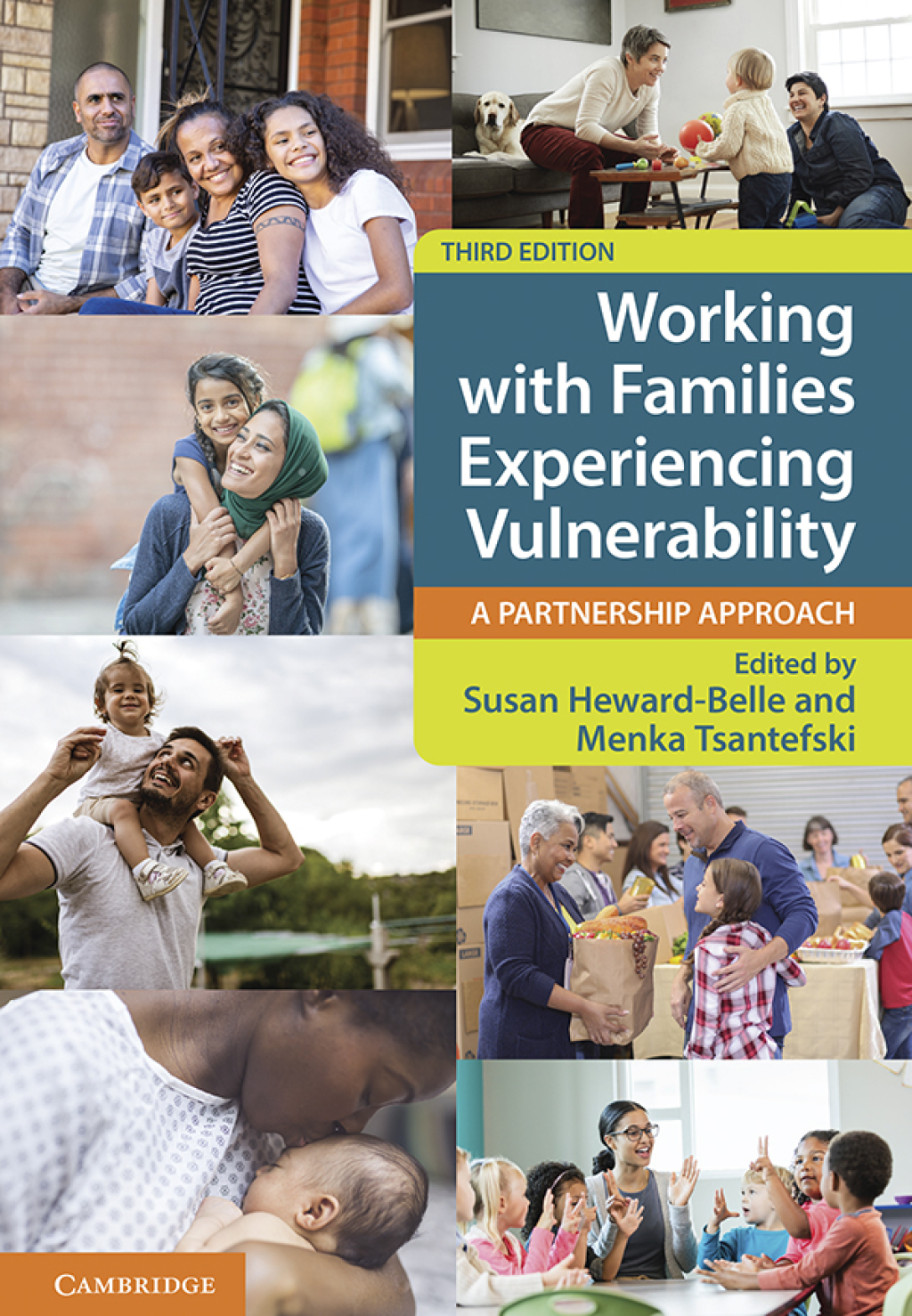 Working with Families Experiencing Vulnerability A Partnership Approach 3rd Edition â€“ PDF/EPUB Version Downloadable