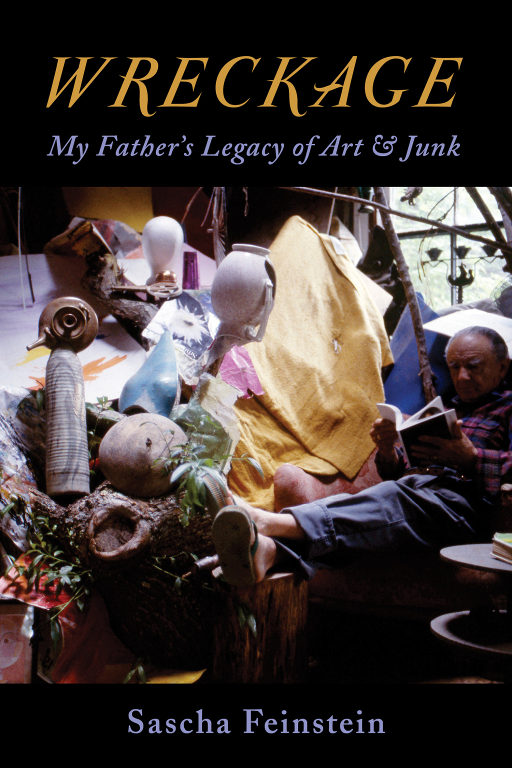 Wreckage My Fatherâ€™s Legacy of Art & Junk  â€“ PDF/EPUB Version Downloadable