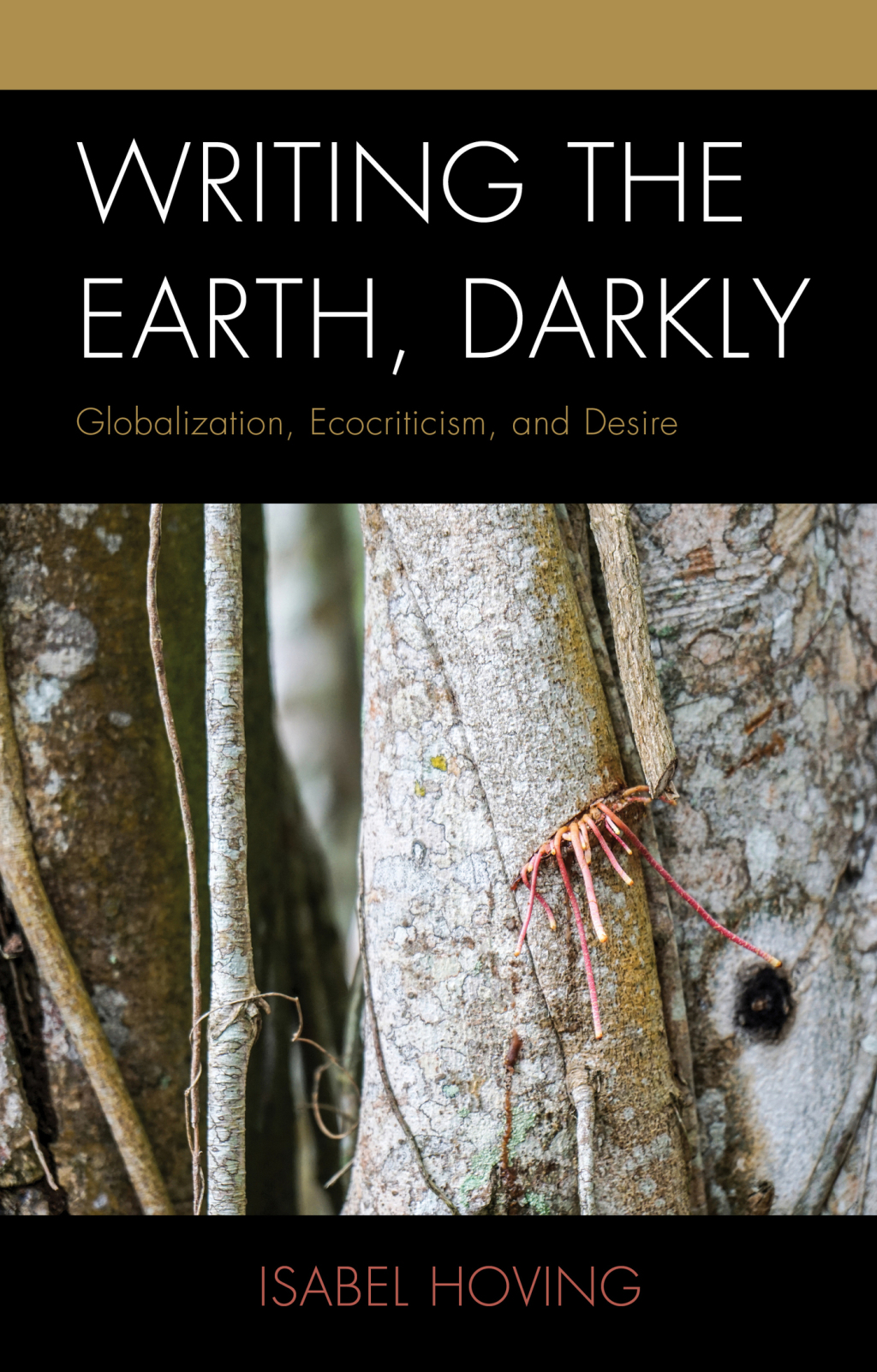 Writing the Earth, Darkly Globalization, Ecocriticism, and Desire 1st Edition â€“ PDF/EPUB Version Downloadable