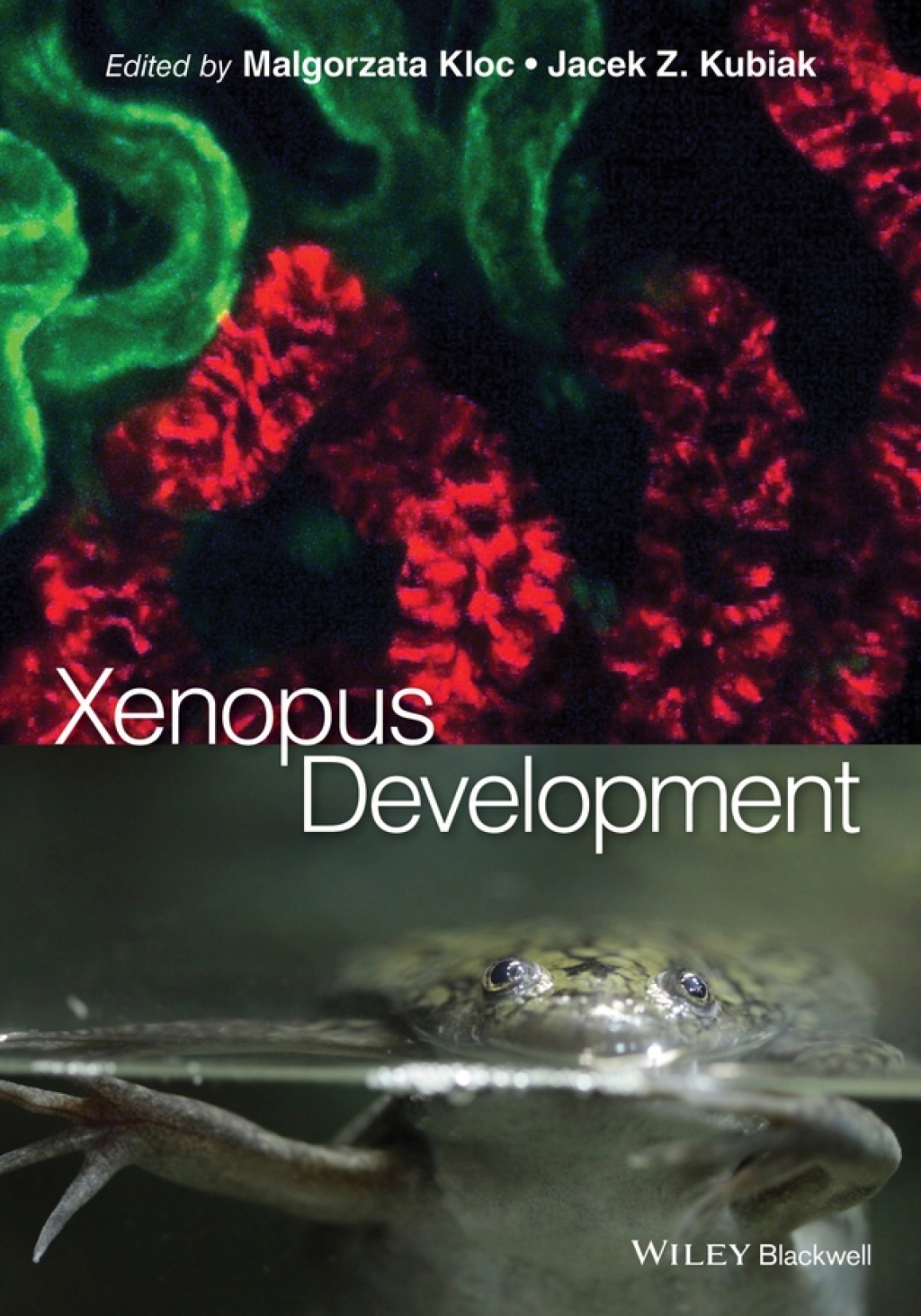 Xenopus Development 1st Edition â€“ PDF/EPUB Version Downloadable