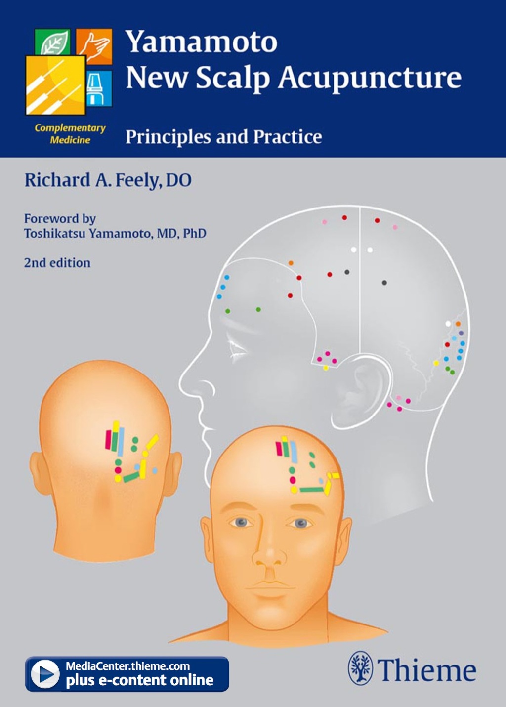 Yamamoto New Scalp Acupuncture Principles and Practice 1st Edition â€“ PDF/EPUB Version Downloadable