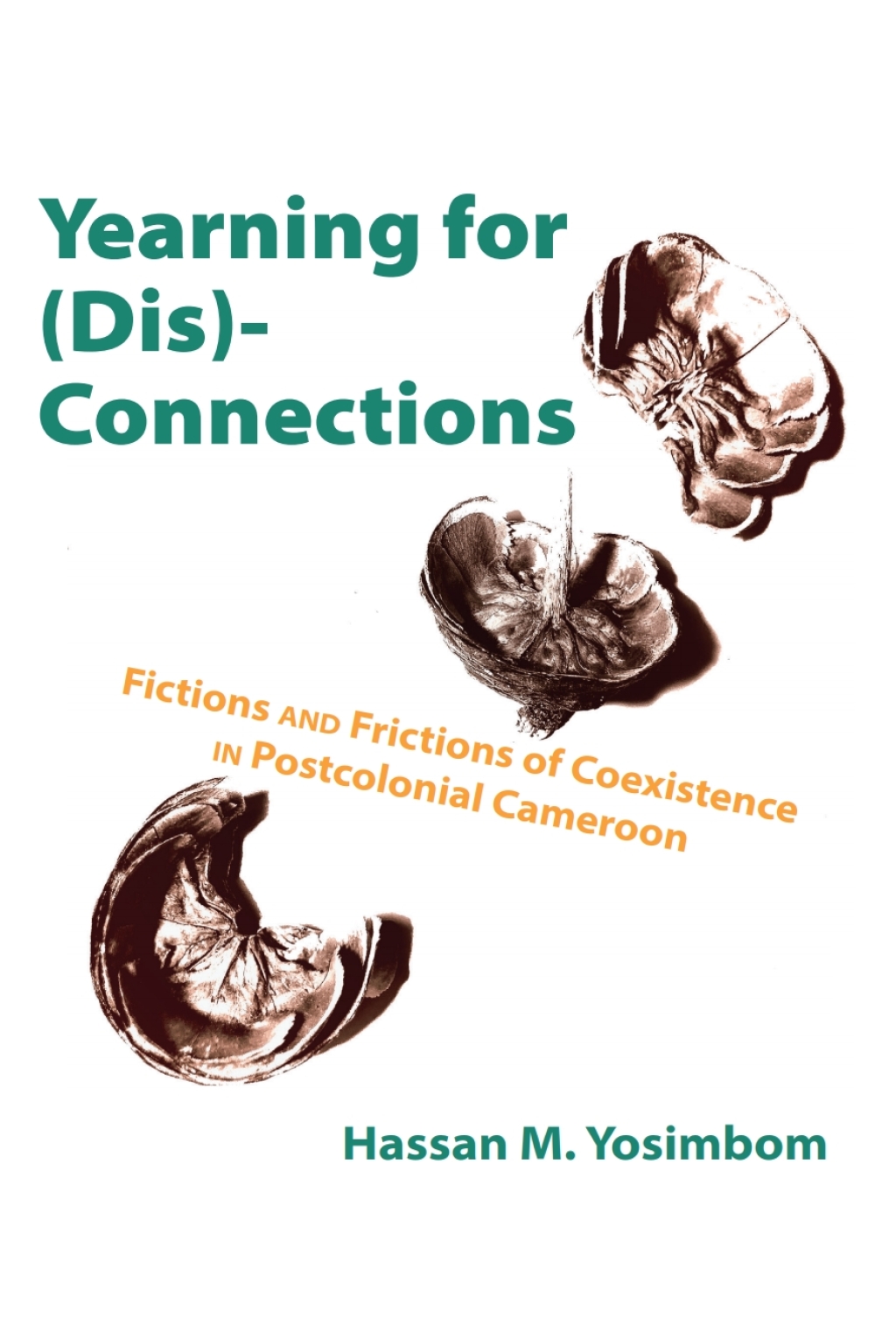 Yearning for (Dis)Connections Fictions and Frictions of Coexistence in Postcolonial Cameroon 1st Edition â€“ PDF/EPUB Version Downloadable