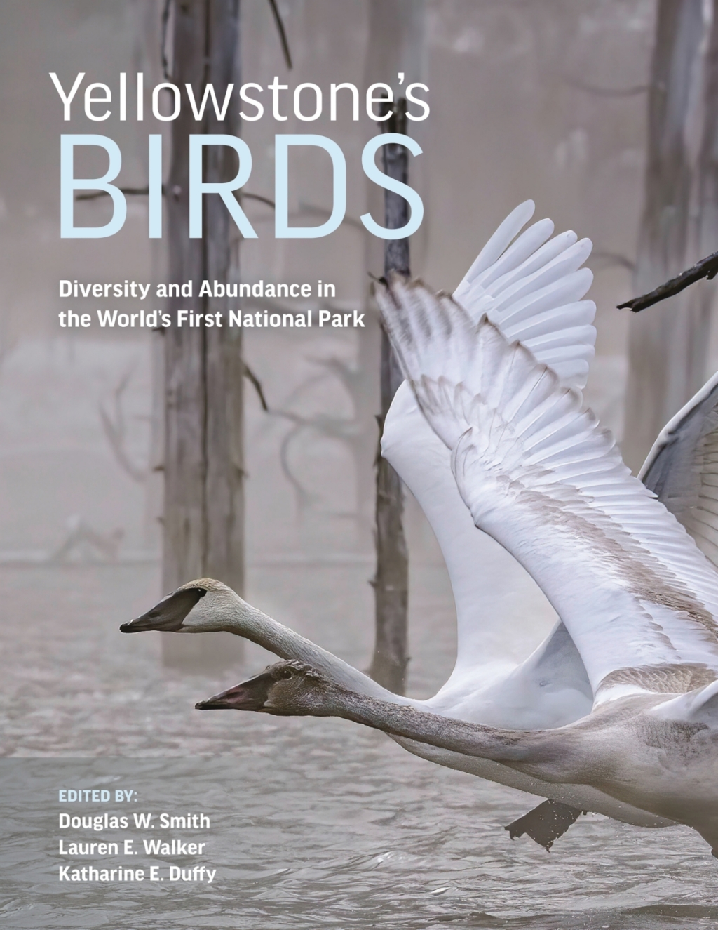 Yellowstoneâ€™s Birds Diversity and Abundance in the Worldâ€™s First National Park  â€“ PDF/EPUB Version Downloadable