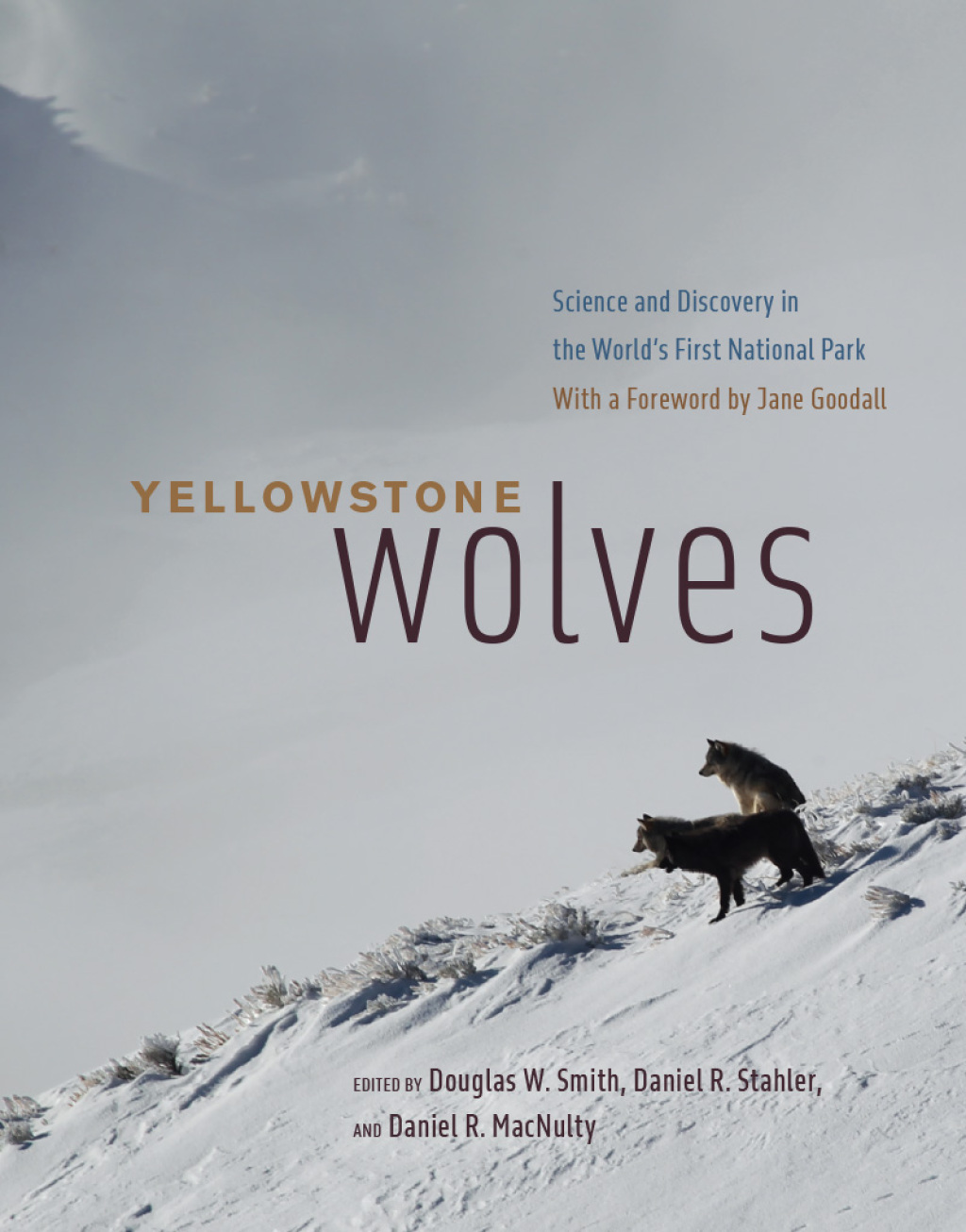 Yellowstone Wolves Science and Discovery in the World's First National Park  â€“ PDF/EPUB Version Downloadable