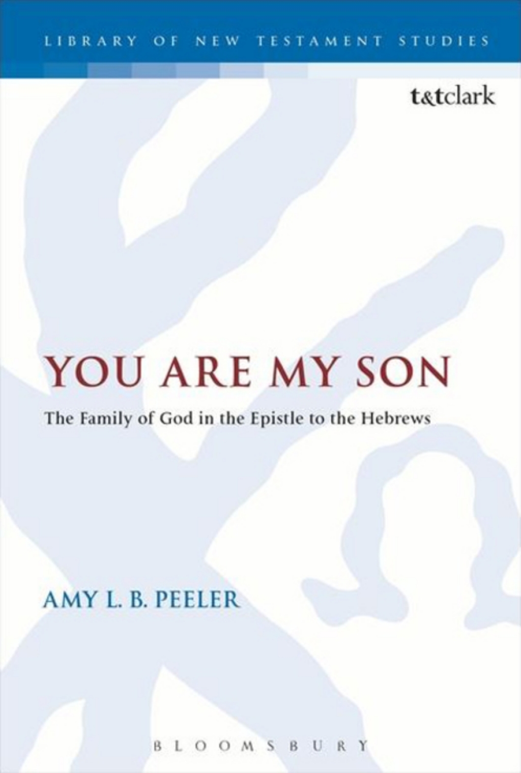 You Are My Son The Family of God in the Epistle to the Hebrews 1st Edition â€“ PDF/EPUB Version Downloadable