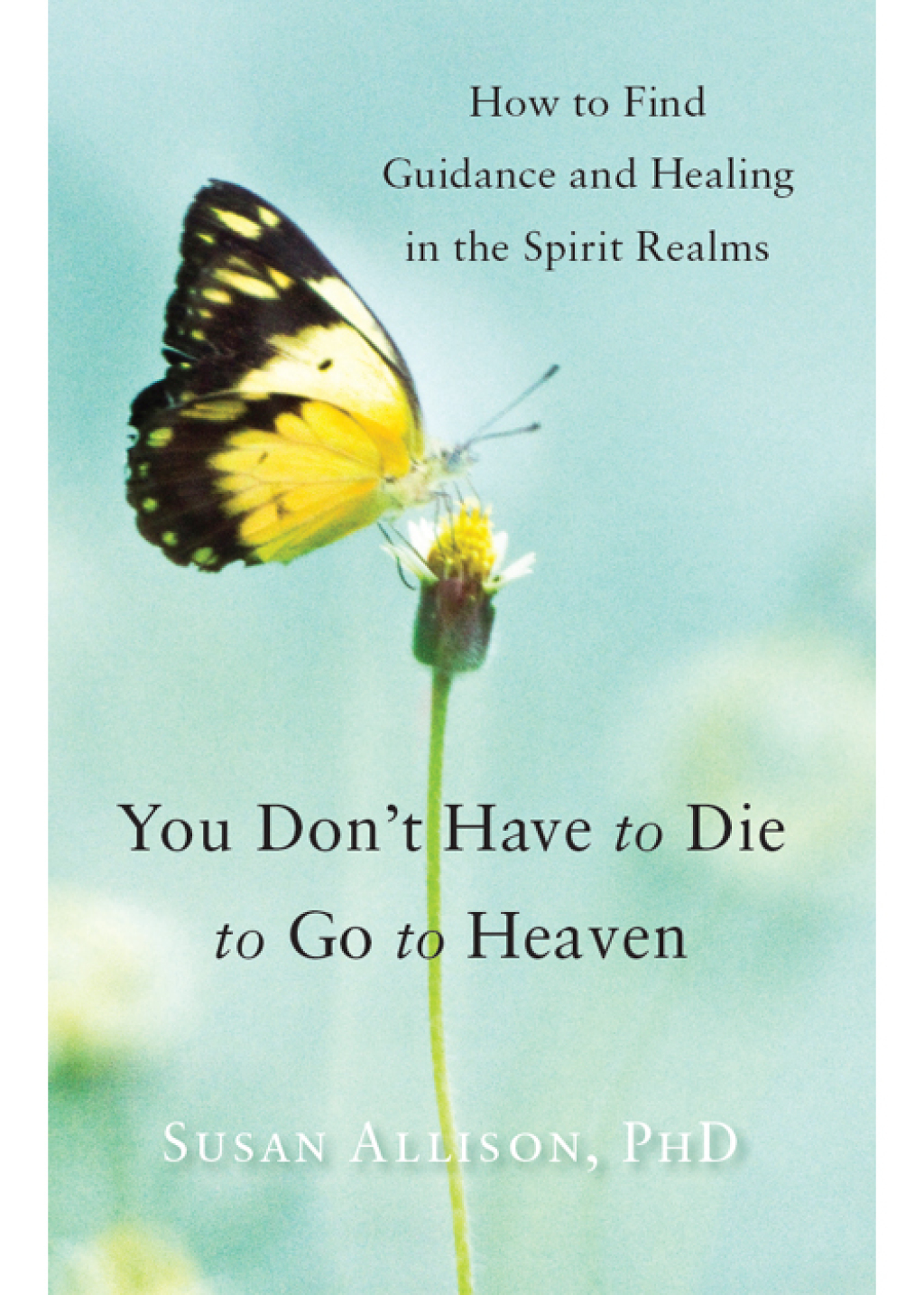 You Don't Have to Die to Go to Heaven How to Find Guidance and Healing in the Spirit Realms - (PDF/EPUB Version)