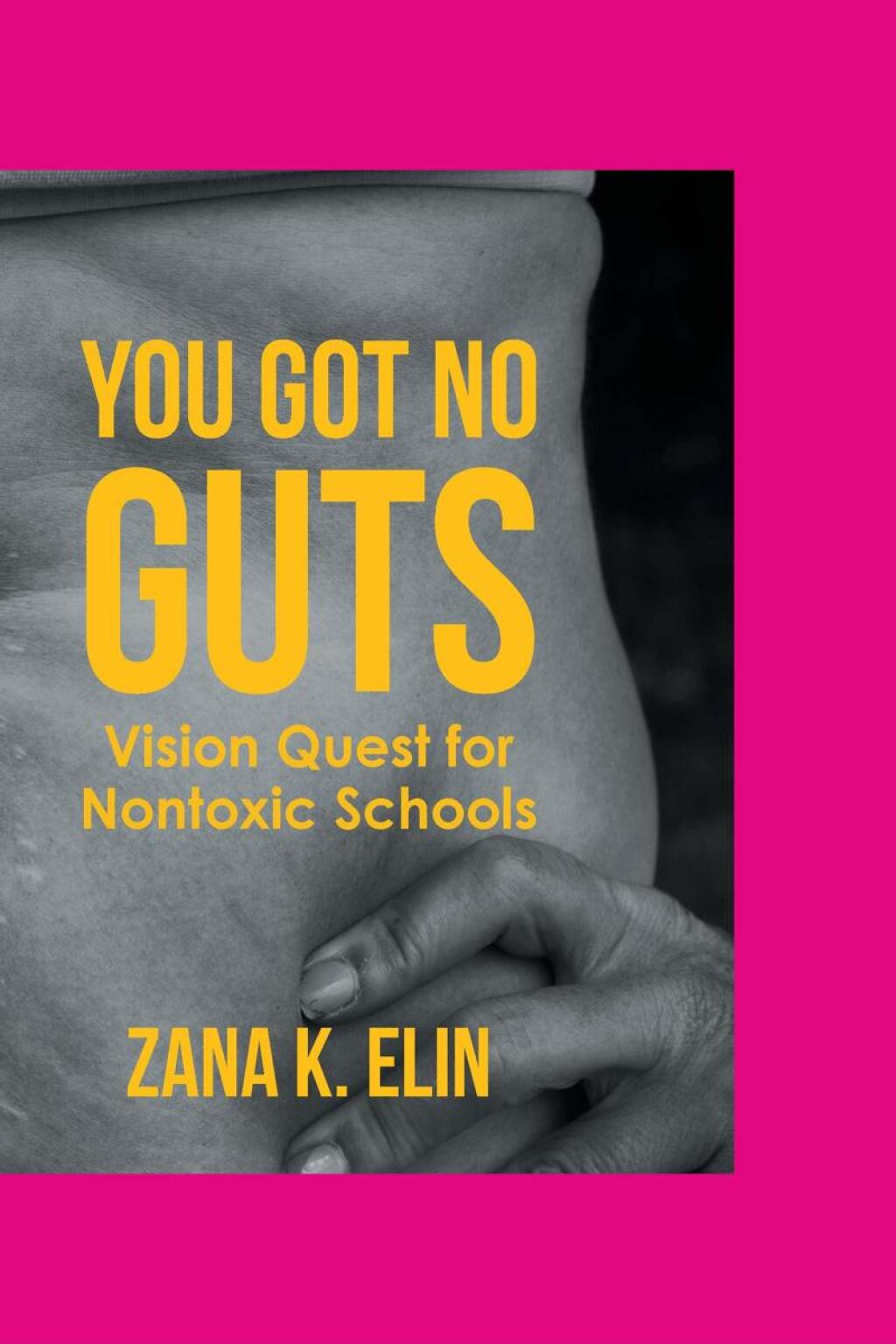 You Got No Guts Vision Quest for Nontoxic Schools - (PDF/EPUB Version)