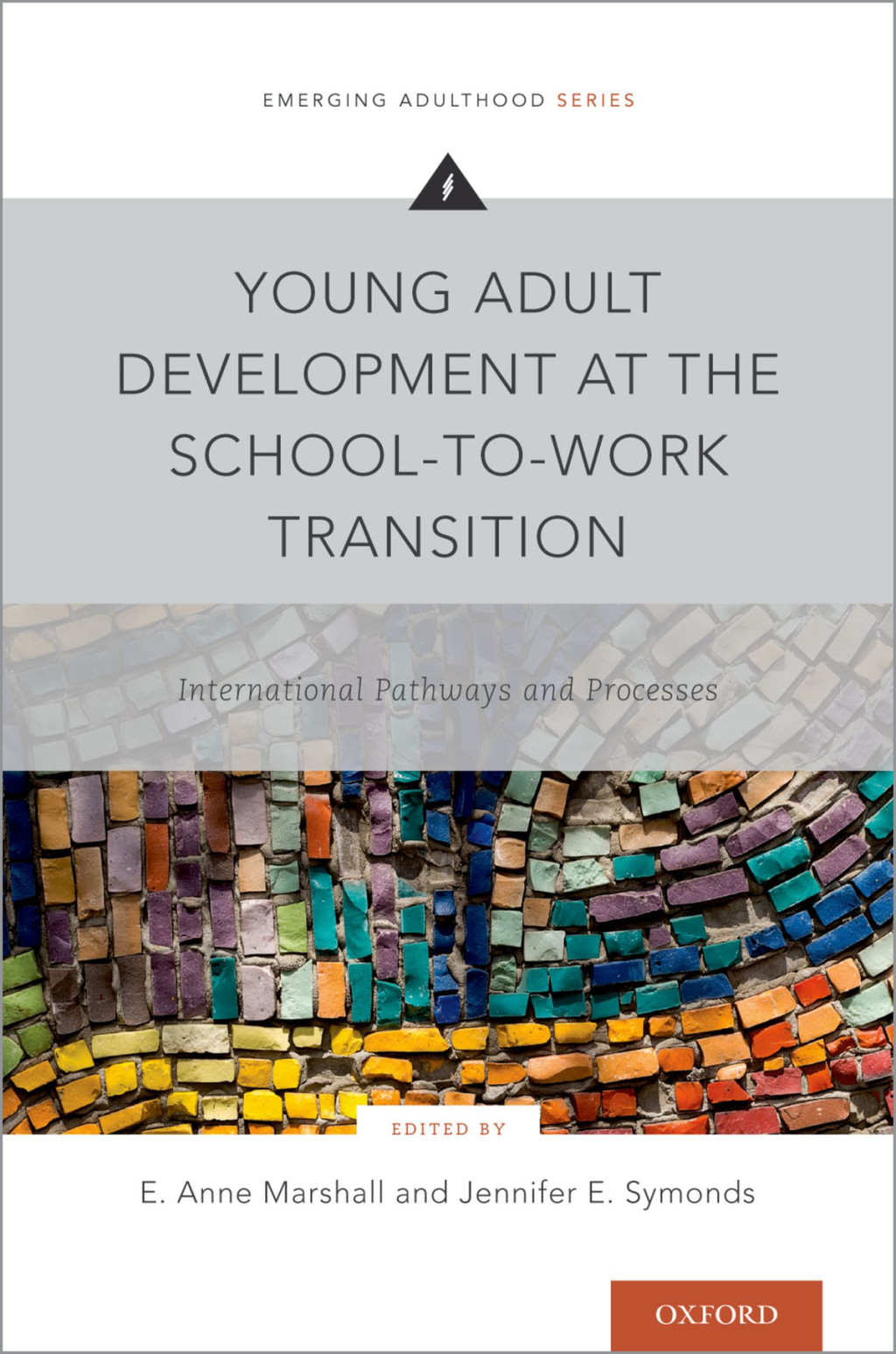 Young Adult Development at the School-to-Work Transition International Pathways and Processes 1st Edition â€“ PDF/EPUB Version Downloadable