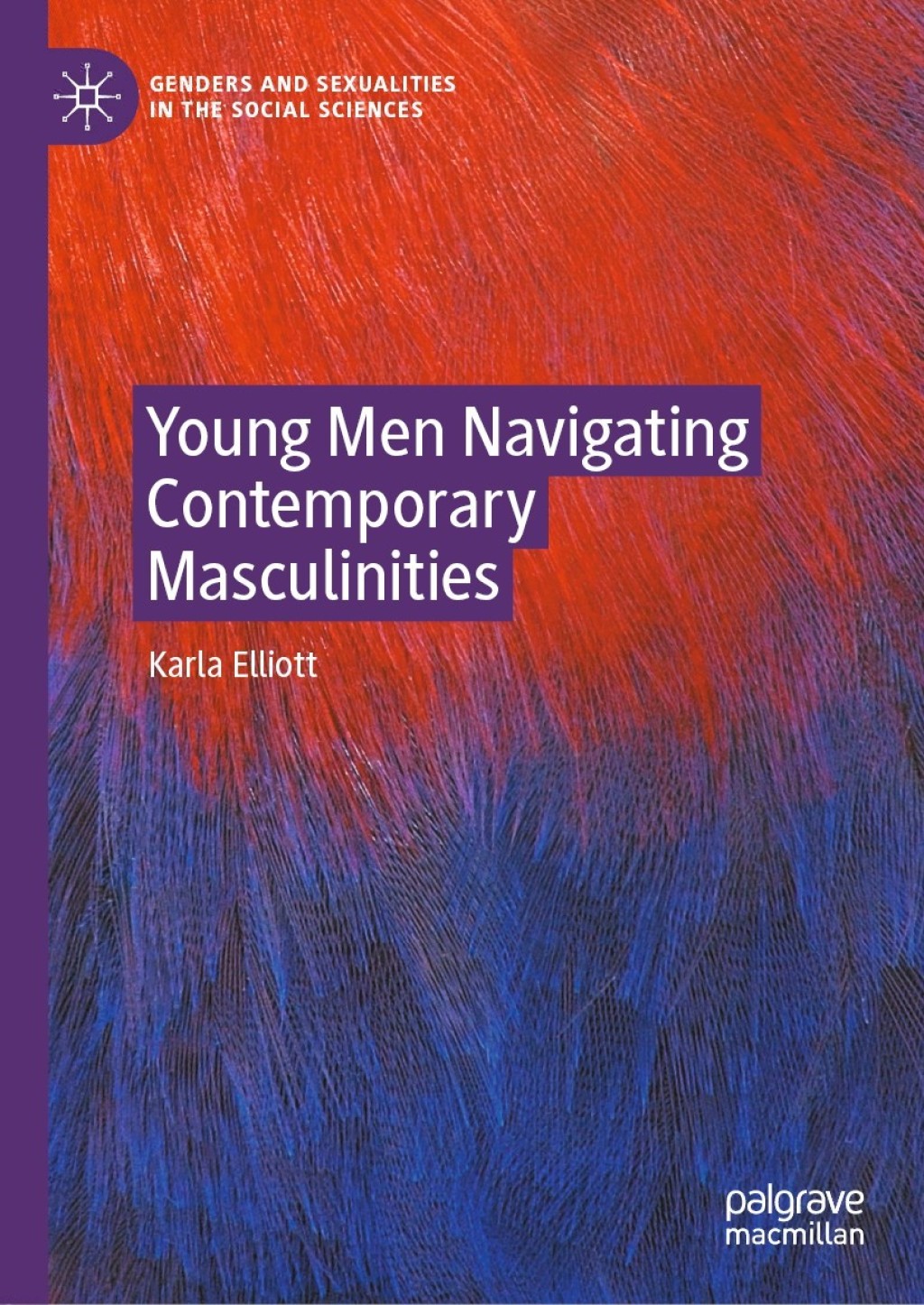 Young Men Navigating Contemporary Masculinities  â€“ PDF/EPUB Version Downloadable