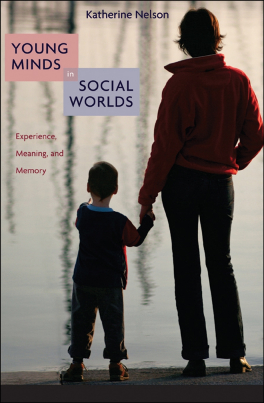 Young Minds in Social Worlds Experience, Meaning, and Memory - (PDF/EPUB Version)