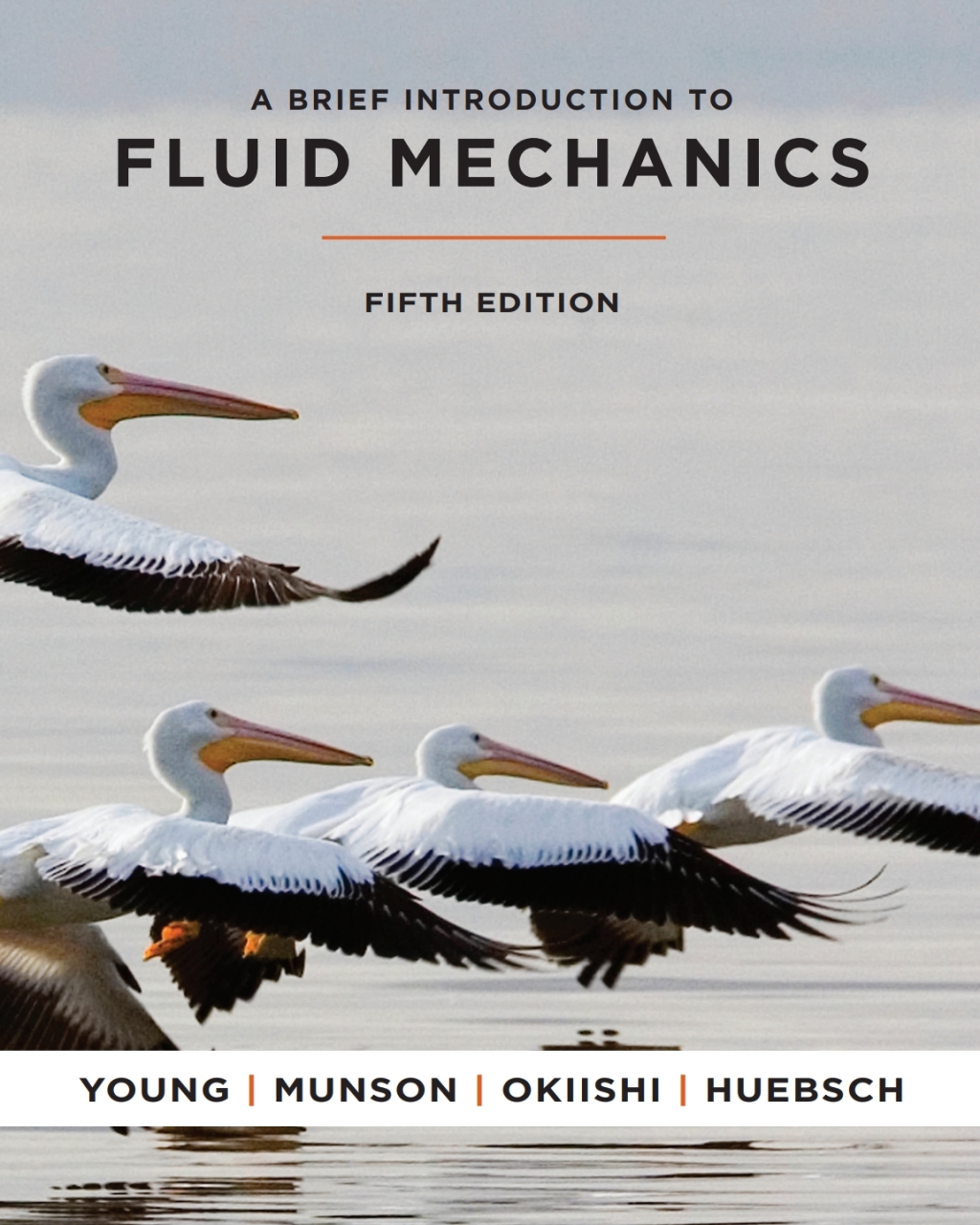 Young, Munson and Okiishi's A Brief Introduction to Fluid Mechanics, WileyPLUS Single-term 6th Edition â€“ PDF/EPUB Version Downloadable