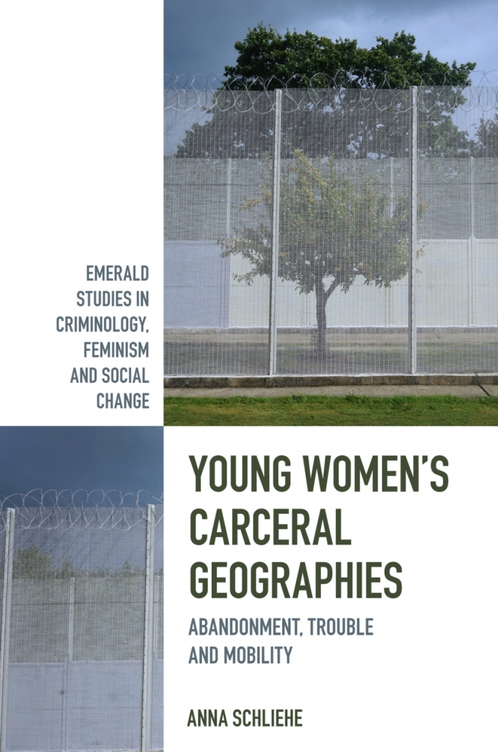 Young Womenâ€™s Carceral Geographies Abandonment, Trouble and Mobility  â€“ PDF/EPUB Version Downloadable